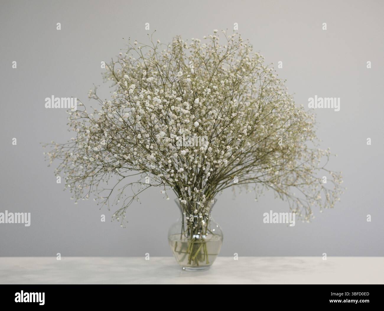 Bouquet de fleurs de gypsophila dans un vase en verre sur table, espace copie Banque D'Images