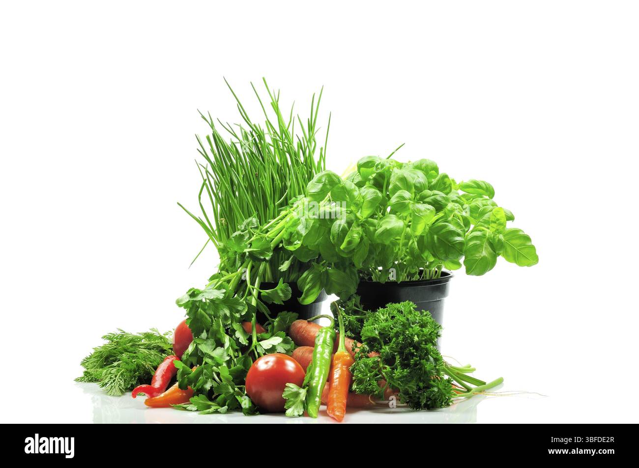 Légumes (Vegetabilis) Banque D'Images