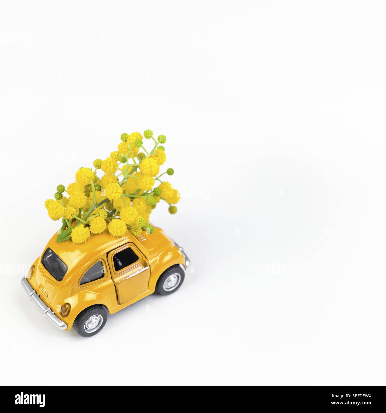 Moscou, Russie - le 23 février 2019 : 8 mars Journée internationale de la femme carte avec toy voiture rétro modèle livrer bouquet de fleurs mimosa sur blanc retour Banque D'Images