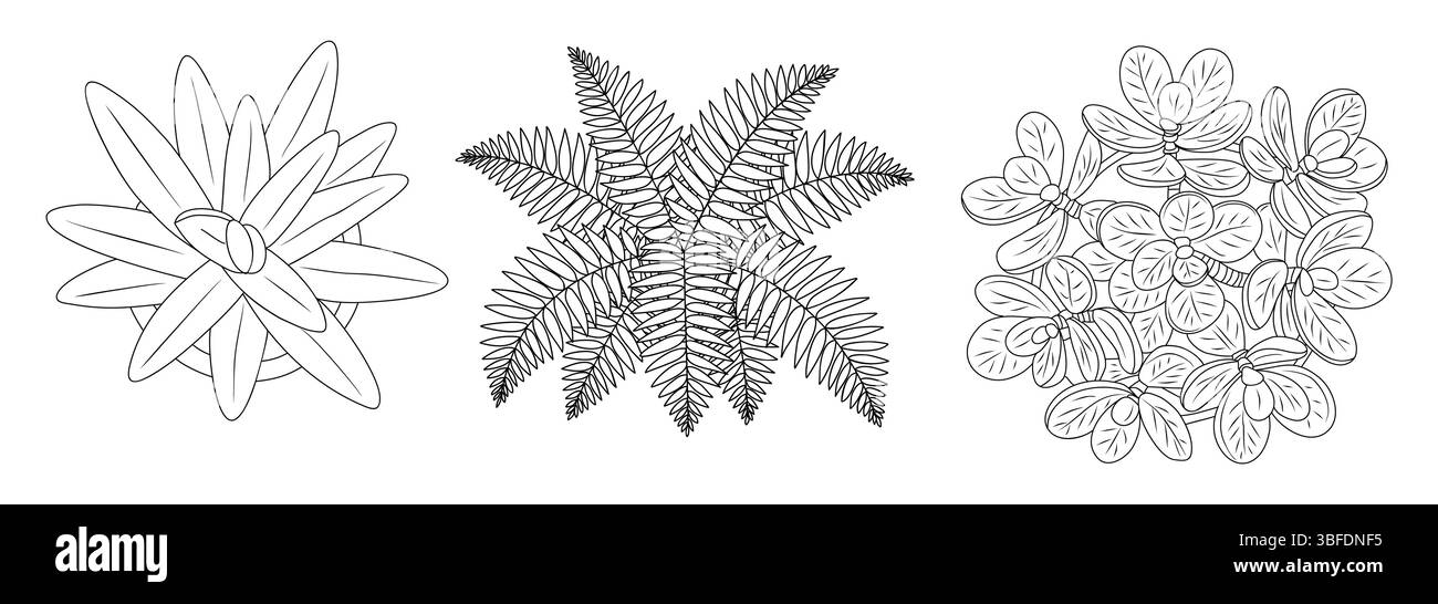 Ensemble de différentes plantes de maison vue de dessus. Illustration de Vecteur