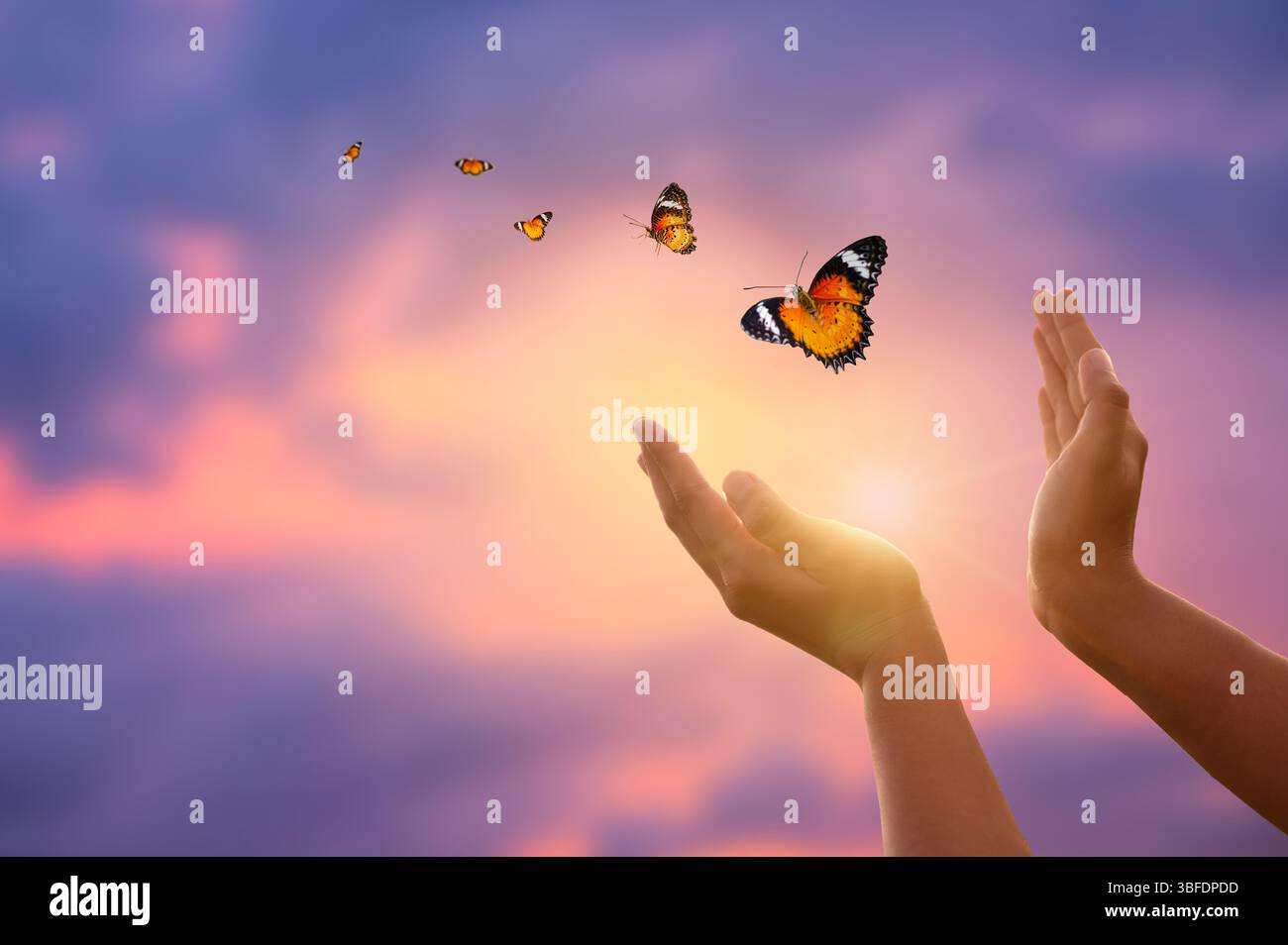 papillon volant et mains sur fond naturel ensoleillé abstrait. concept de fin d'été. liberté. rencontrez l'homme et la nature. harmonie, atmosphère paisible Banque D'Images