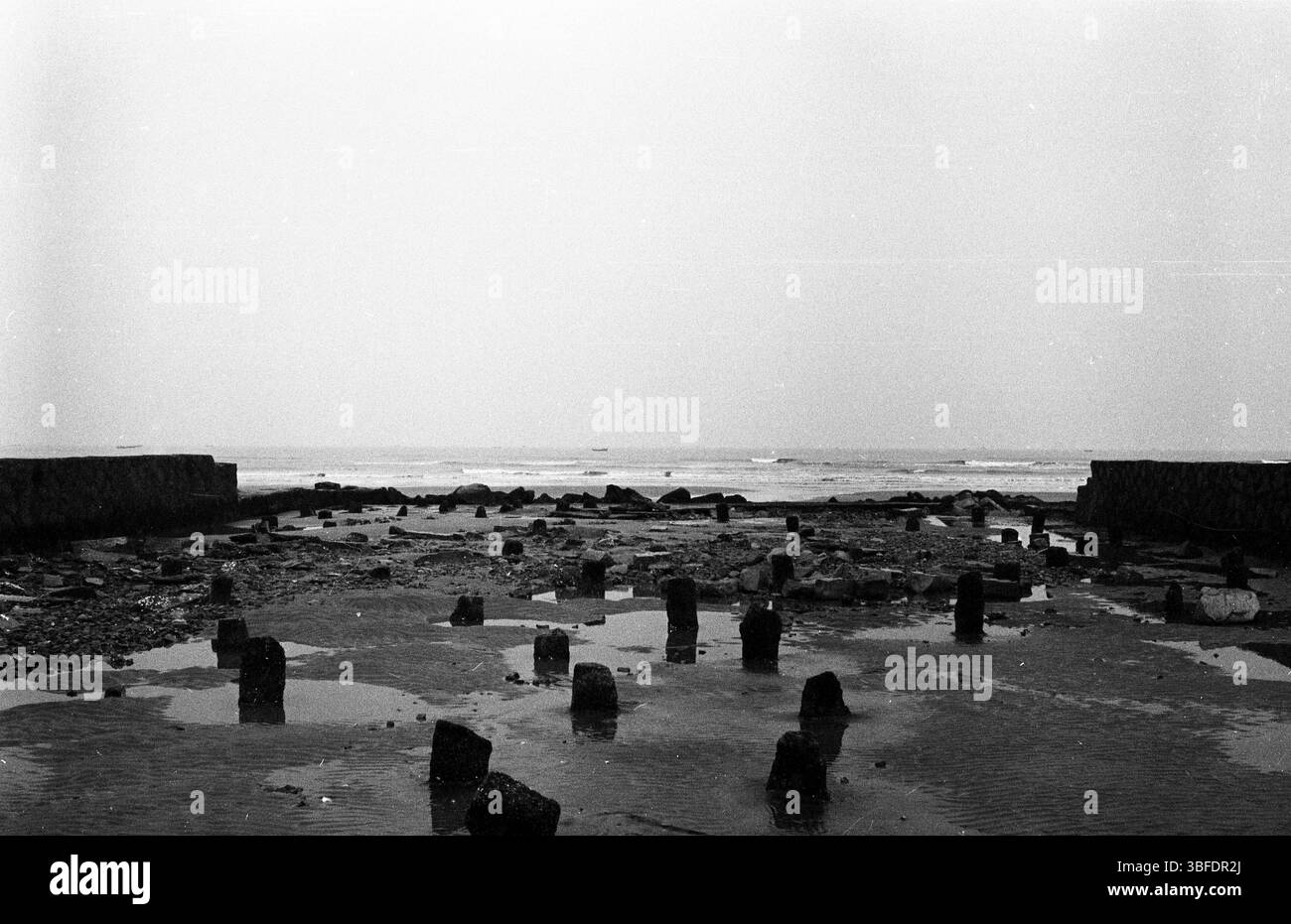 Vestiges de marée basse du littoral côtier à Seaside Shore Banque D'Images