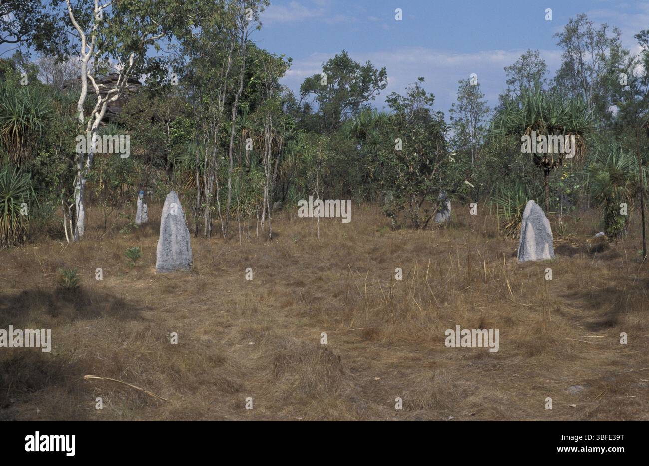 Paysage avec des bâtiments de termites Banque D'Images