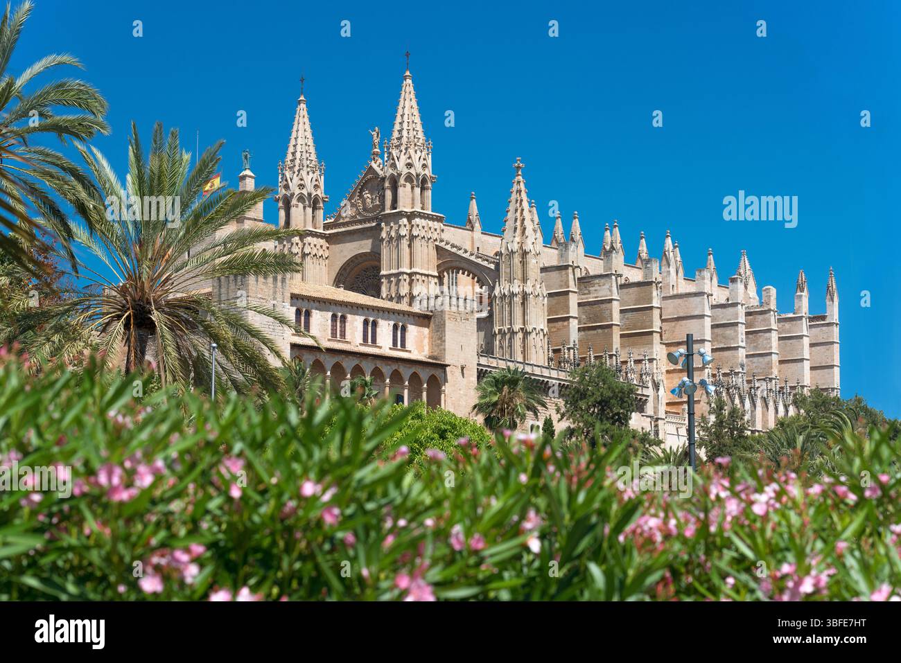 Palais de l'Almudaina avec cathédrale la Seu à Palma de Majorque - 9298 Banque D'Images