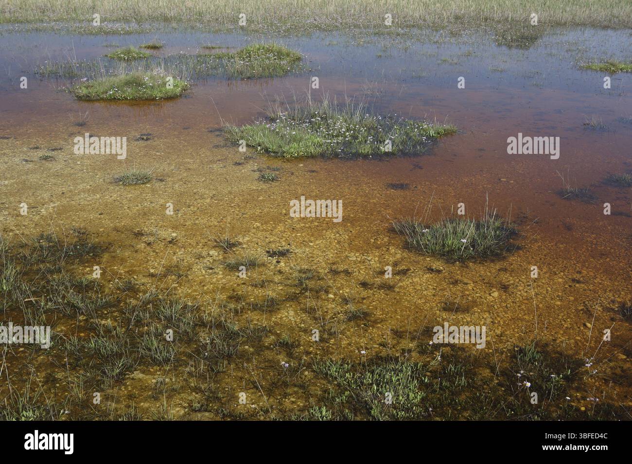 Preneur d'otages Banque D'Images