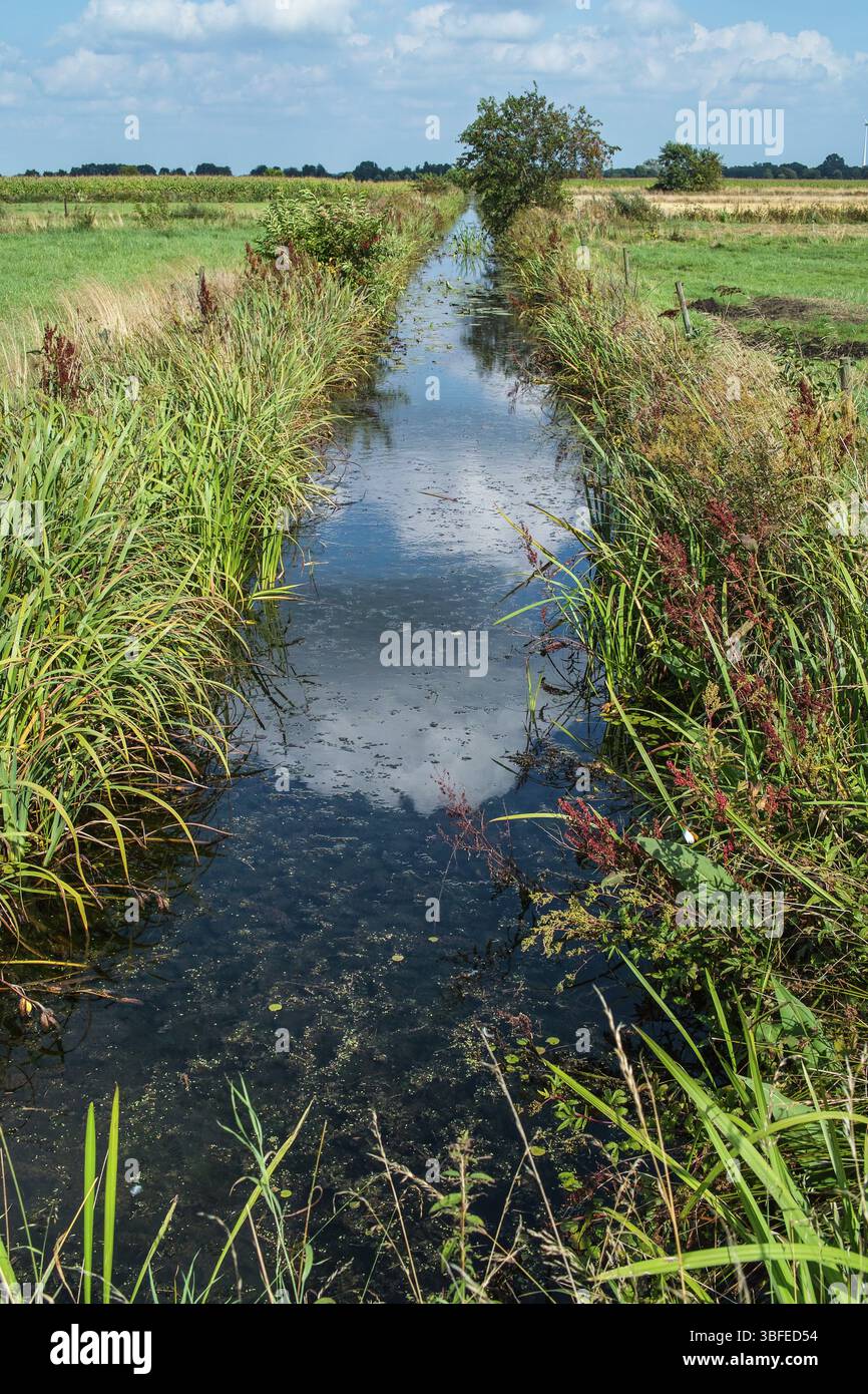 ENTRE LES PRAIRIES - ENTRE LES INTÉRÊTS Banque D'Images