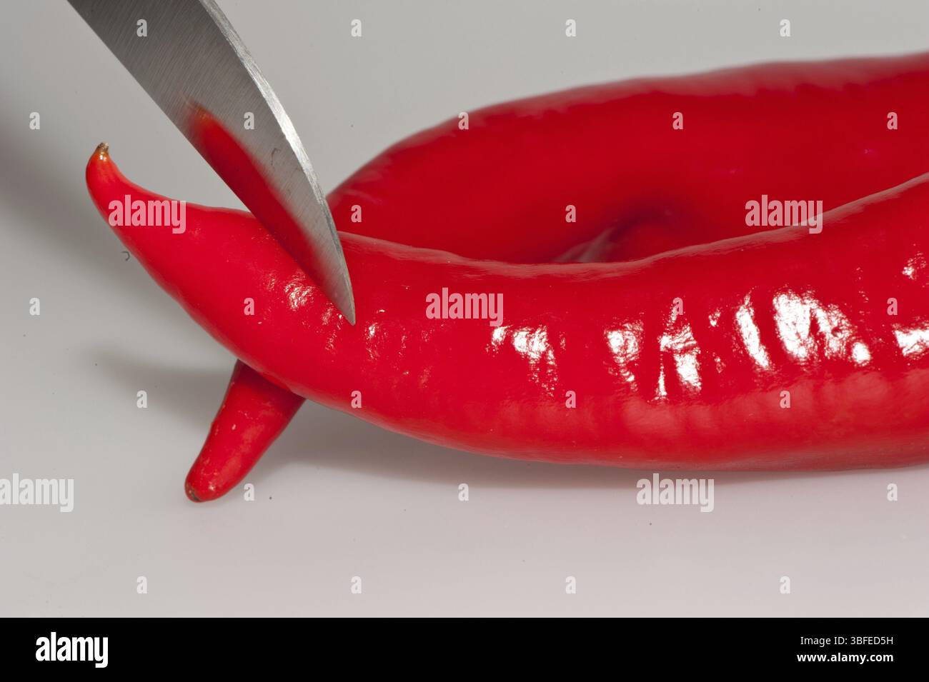 Très chaud (Capsicum annuum) Banque D'Images