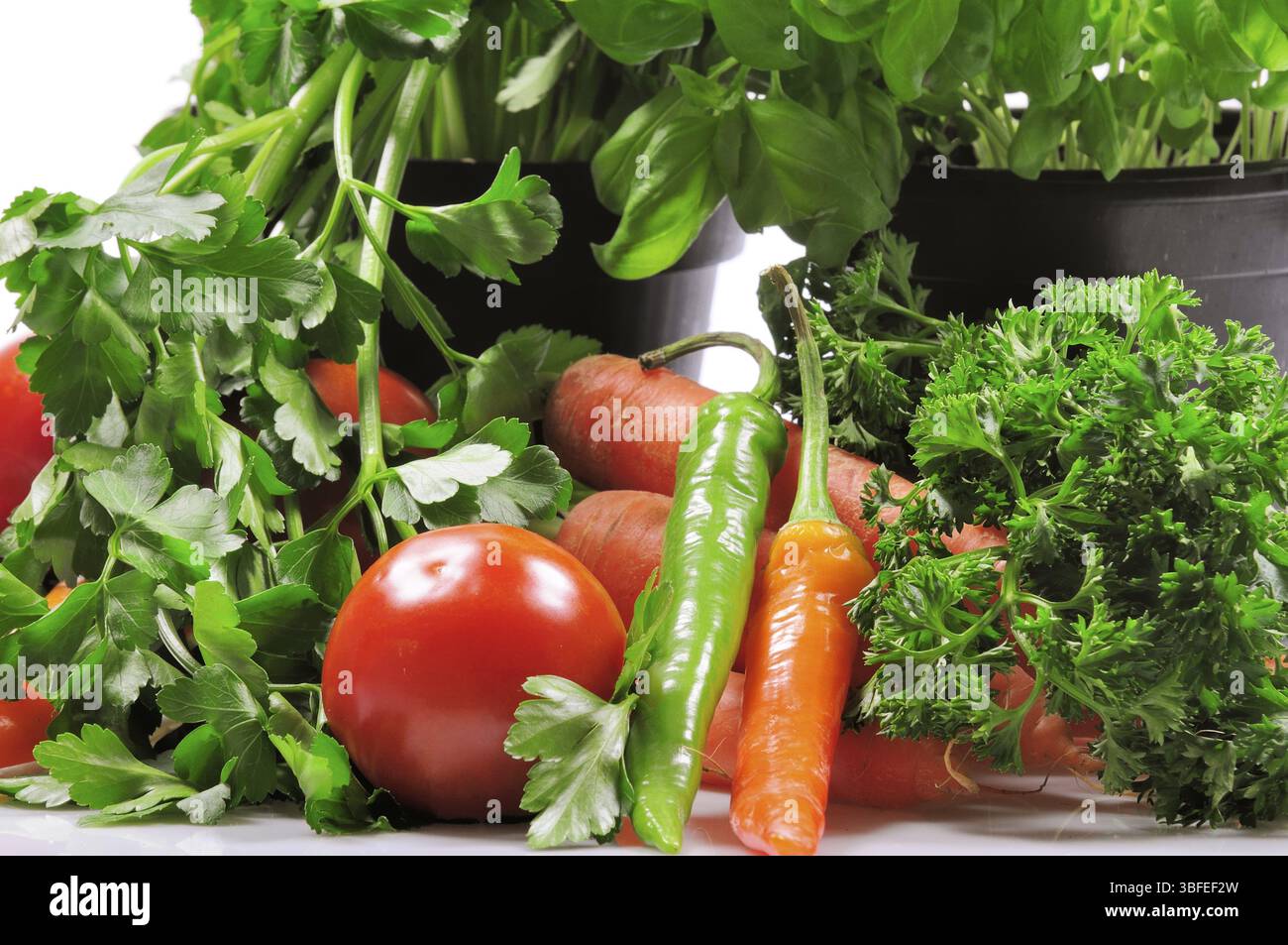 Légumes (Vegetabilis) Banque D'Images