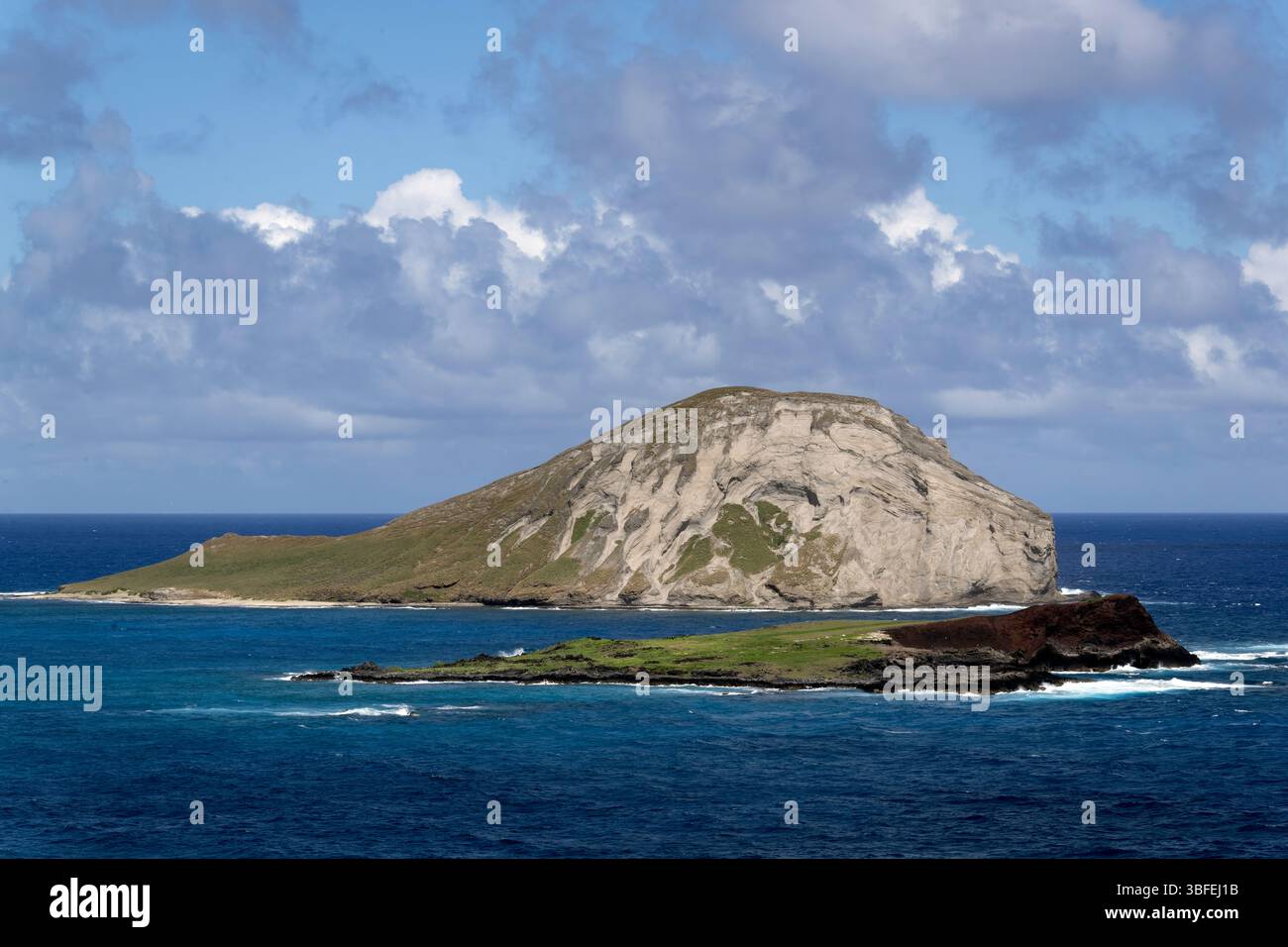 L'île de Manana est une réserve d'oiseaux de mer pour les pétrels de Bulwers, les ciseaux à queue cunéiforme, les sternes de suie, les Noddies bruns. Les oiseaux tropicaux à queue rouge nichent également ici. Banque D'Images