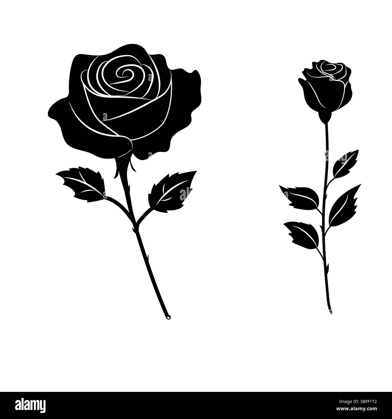 Ensemble de roses noires vecteur plat isolé fleurs d'été de printemps fleurissant la floraison stylisée Illustration de Vecteur