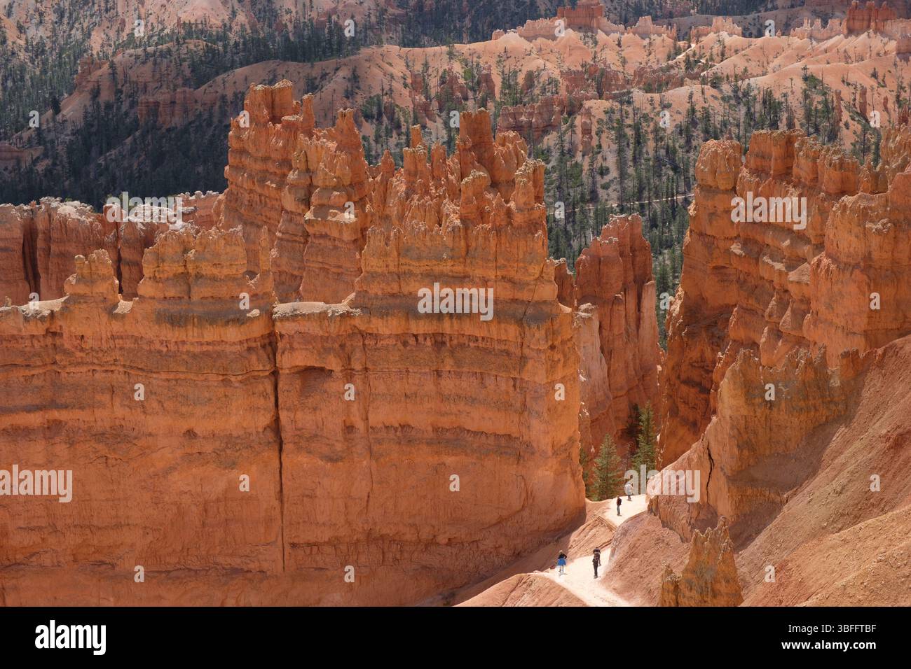 Randonneurs dans le parc national de Bryce Canyon dans l'Utah, États-Unis. Banque D'Images