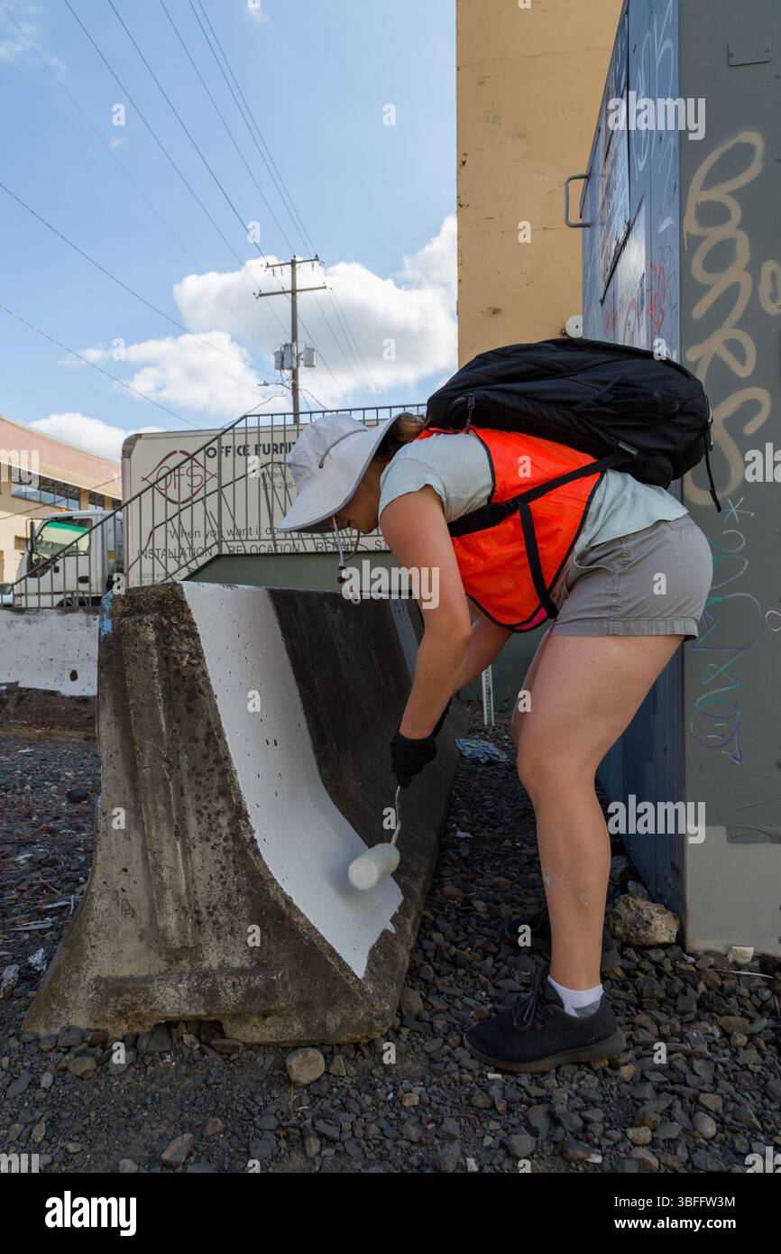 Portland, Oregon - 17 août 2017 : un travailleur peint une barrière dans une ferme de marijuana, peut-être pour des raisons de sécurité ou esthétiques. Banque D'Images