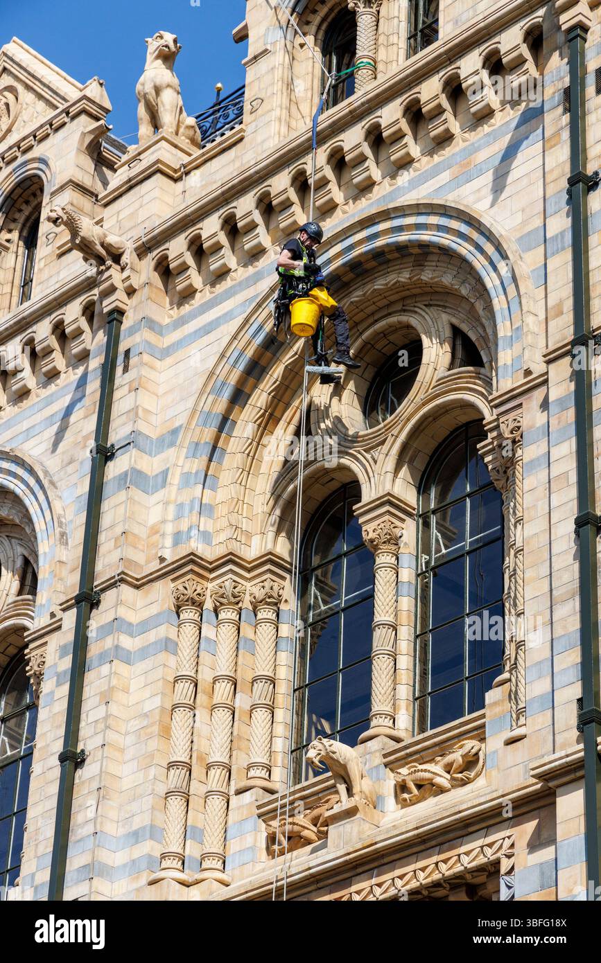 Nettoyage de la façade du Natural History Museum, Kensington, Londres, Angleterre, Royaume-Uni Banque D'Images