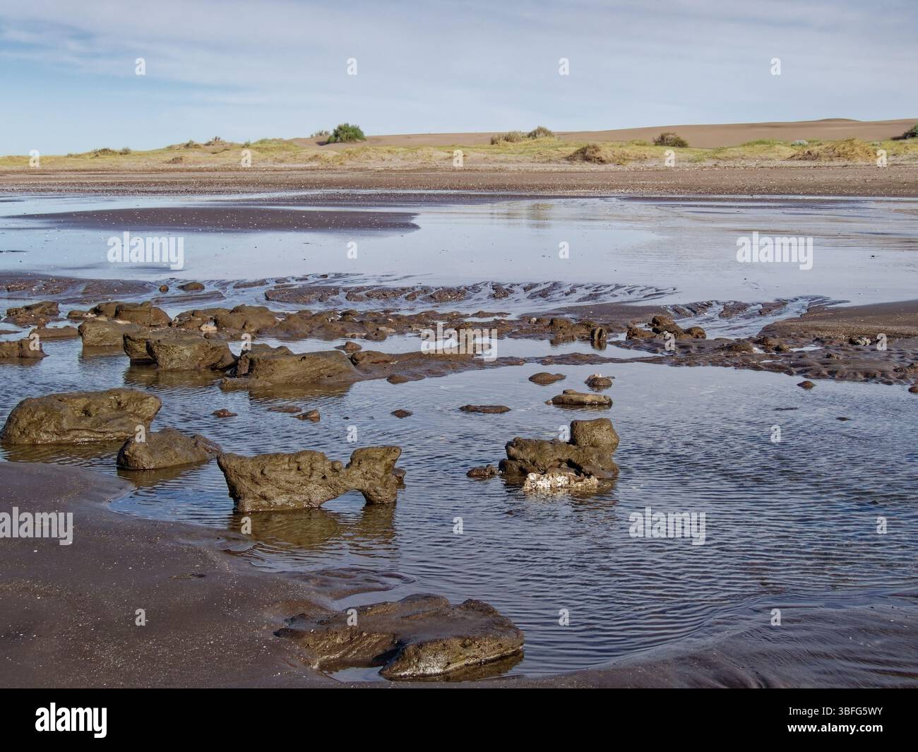 Formations de bois pétrifié reflétant dans les eaux peu profondes sur une plage à marée basse avec des dunes de sable en arrière-plan Banque D'Images