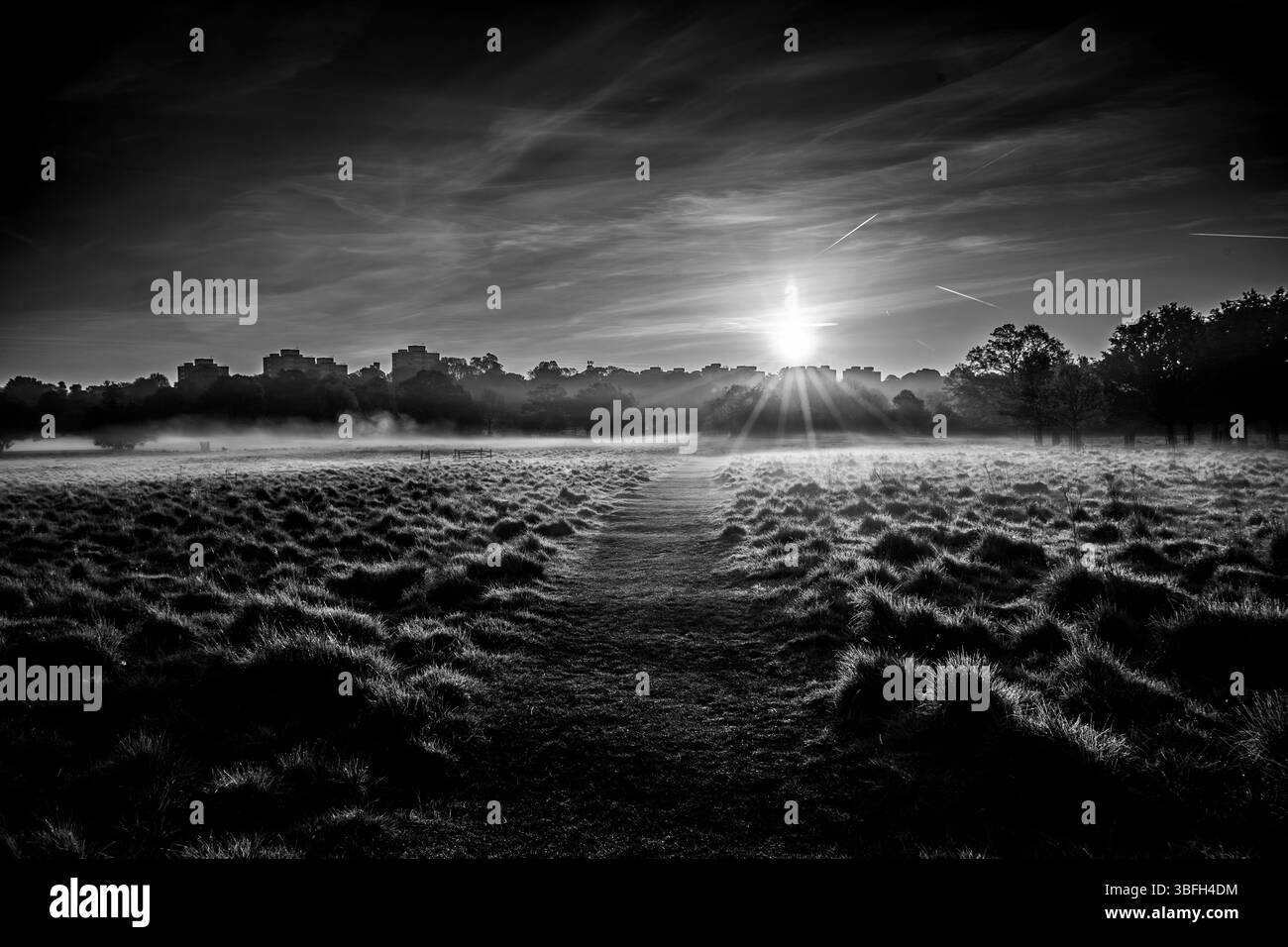 Lever du soleil à Richmond Park Banque D'Images