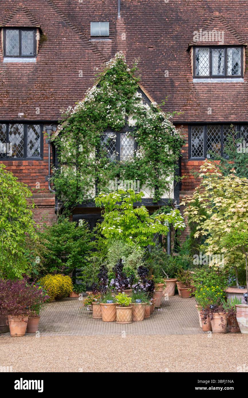 RHS Wisley vieux laboratoire au printemps. Surrey, Angleterre Banque D'Images