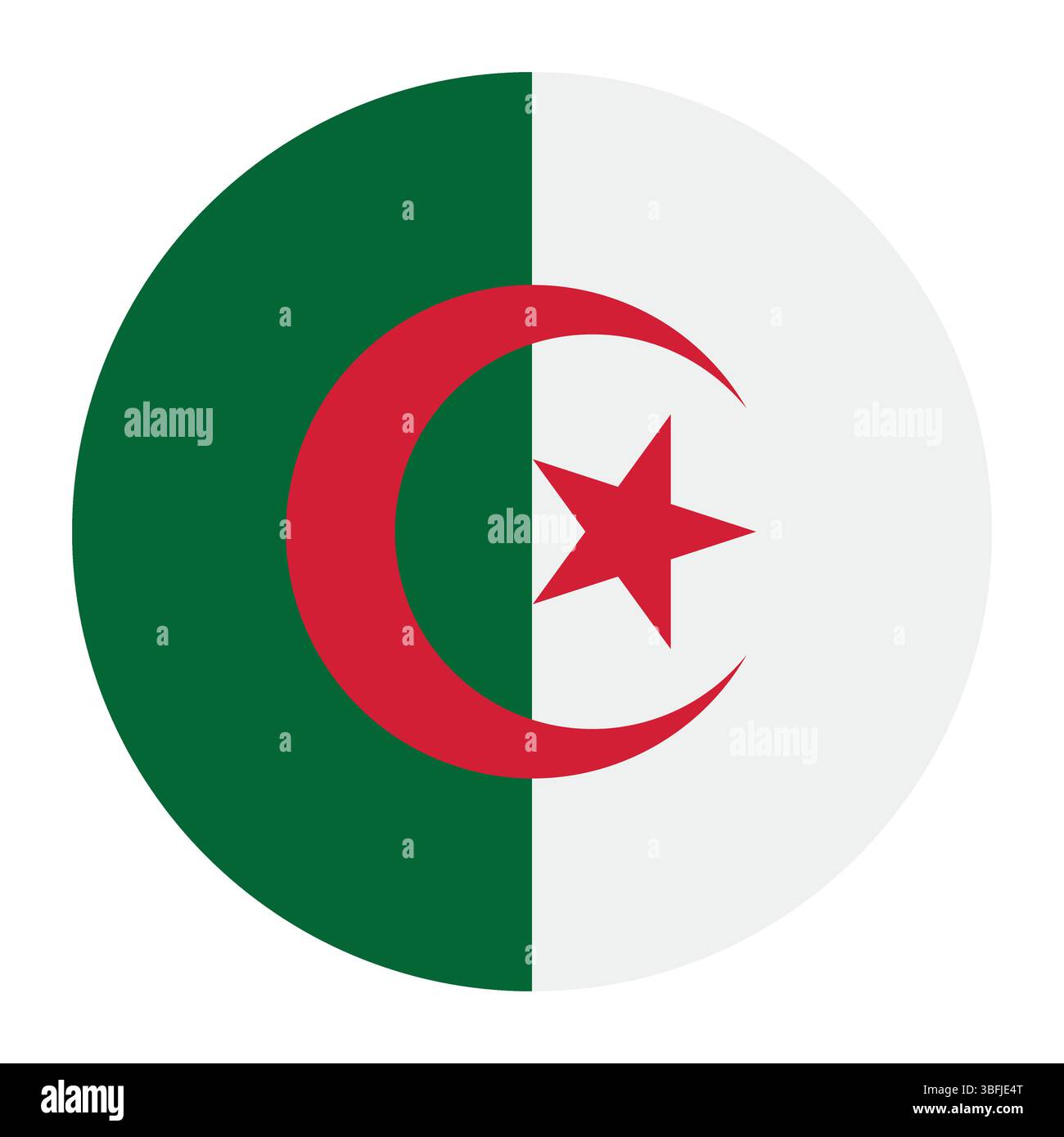 Drapeau de l'Algérie. Algérie cercle drapeau logo icône ordinateur illustration vectorielle conception. Illustration de Vecteur