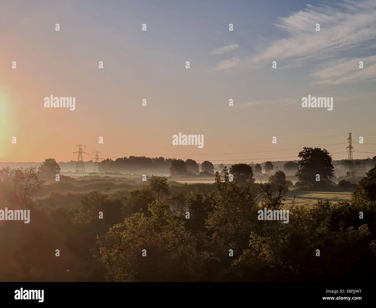 Lignes électriques s'étendant au-dessus d'une forêt brumeuse au lever du soleil, créant un paysage serein mais industriel Banque D'Images