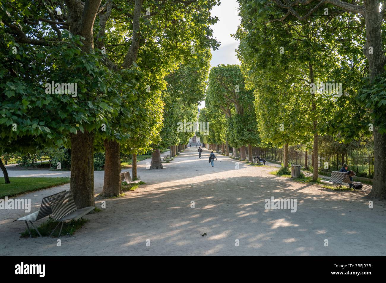 Un large chemin bordé d'arbres avec un feuillage vert, des bancs, et quelques personnes marchant ou se reposant au jardin des plantes, Paris, par un après-midi ensoleillé Banque D'Images