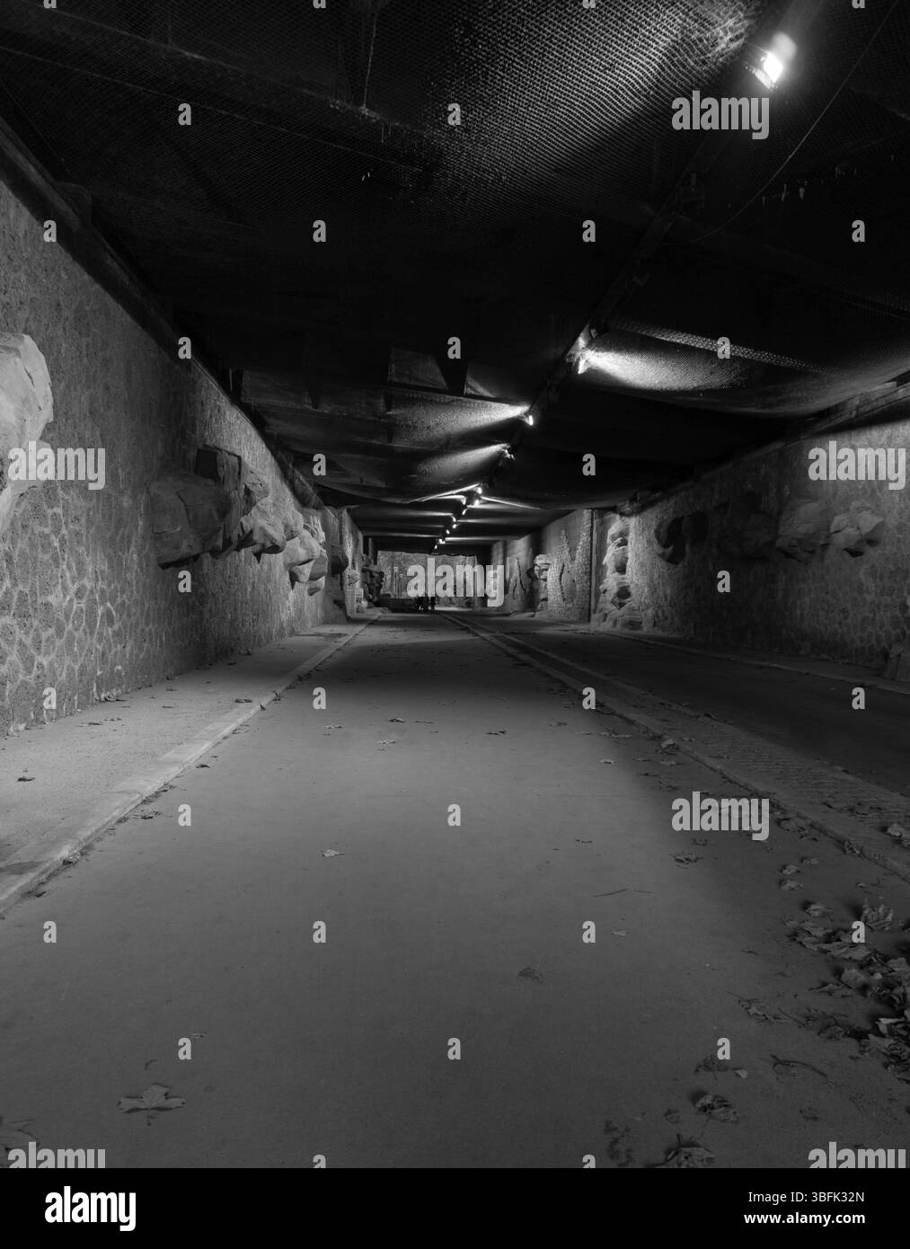 Tunnel menant à la coulée verte Banque D'Images