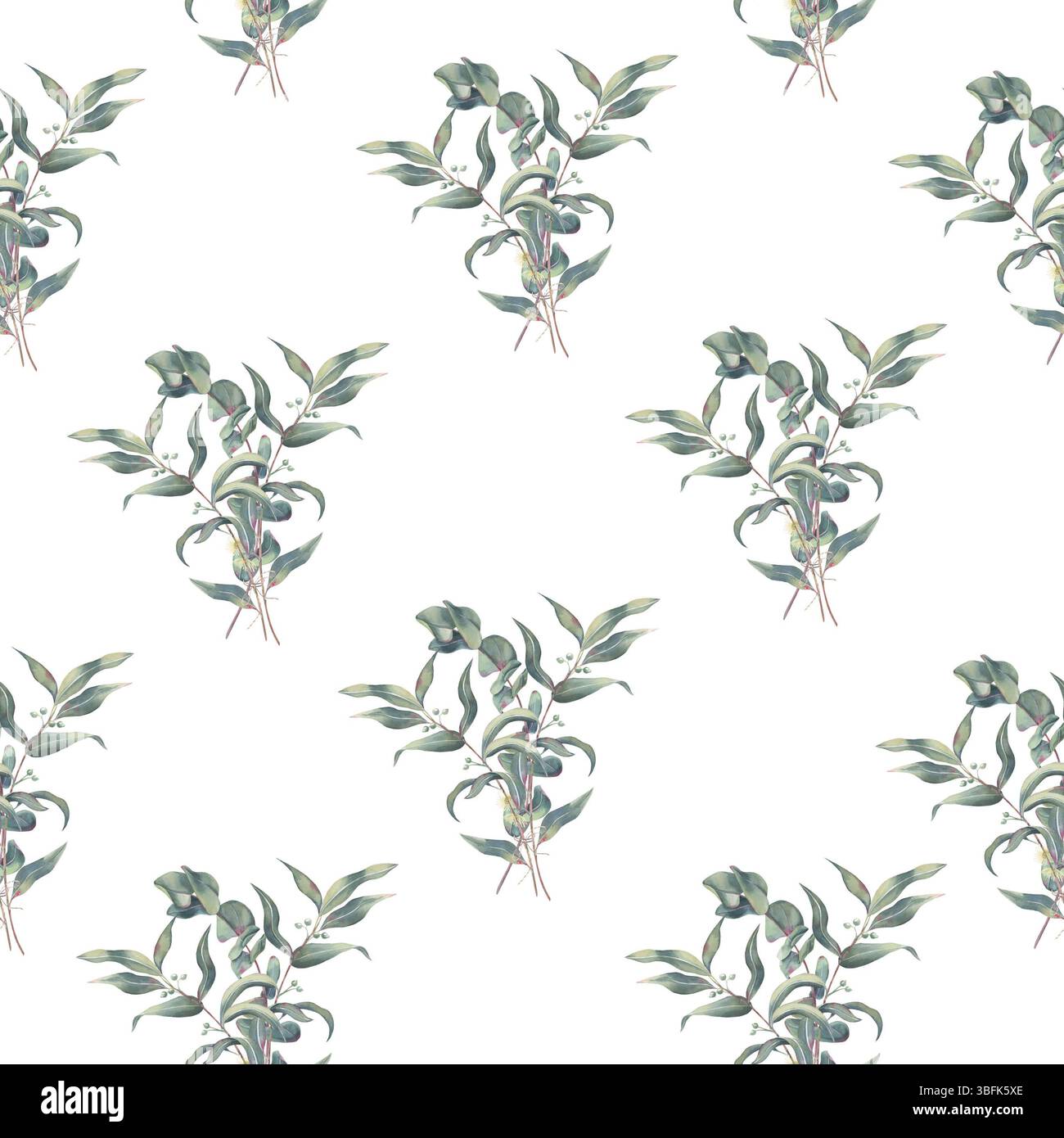 Modèle sans couture d'eucalyptus, bouquets de branches avec des feuilles, des fleurs et des pousses, aquarelle sur fond blanc pour l'impression sur emballage, et textile Banque D'Images