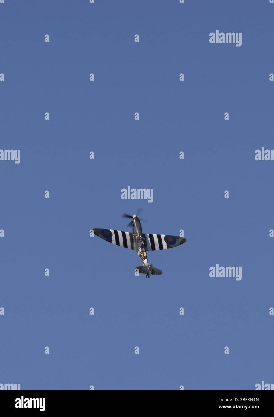 Cowes, île de Wight, Royaume-Uni. 1er juin 2025. Un Supermarine Spitfire effectue un survol lors de la régate Cowes Classic, Cowes, île de Wight, Royaume-Uni. 2 juin 2025. Crédit : Will Beresford/Alamy Live News Banque D'Images Cowes, île de Wight, Royaume-Uni. 1er juin 2025. Un Supermarine Spitfire effectue un survol lors de la régate Cowes Classic, Cowes, île de Wight, Royaume-Uni. 2 juin 2025. Crédit : Will Beresford/Alamy Live News Banque D'Images