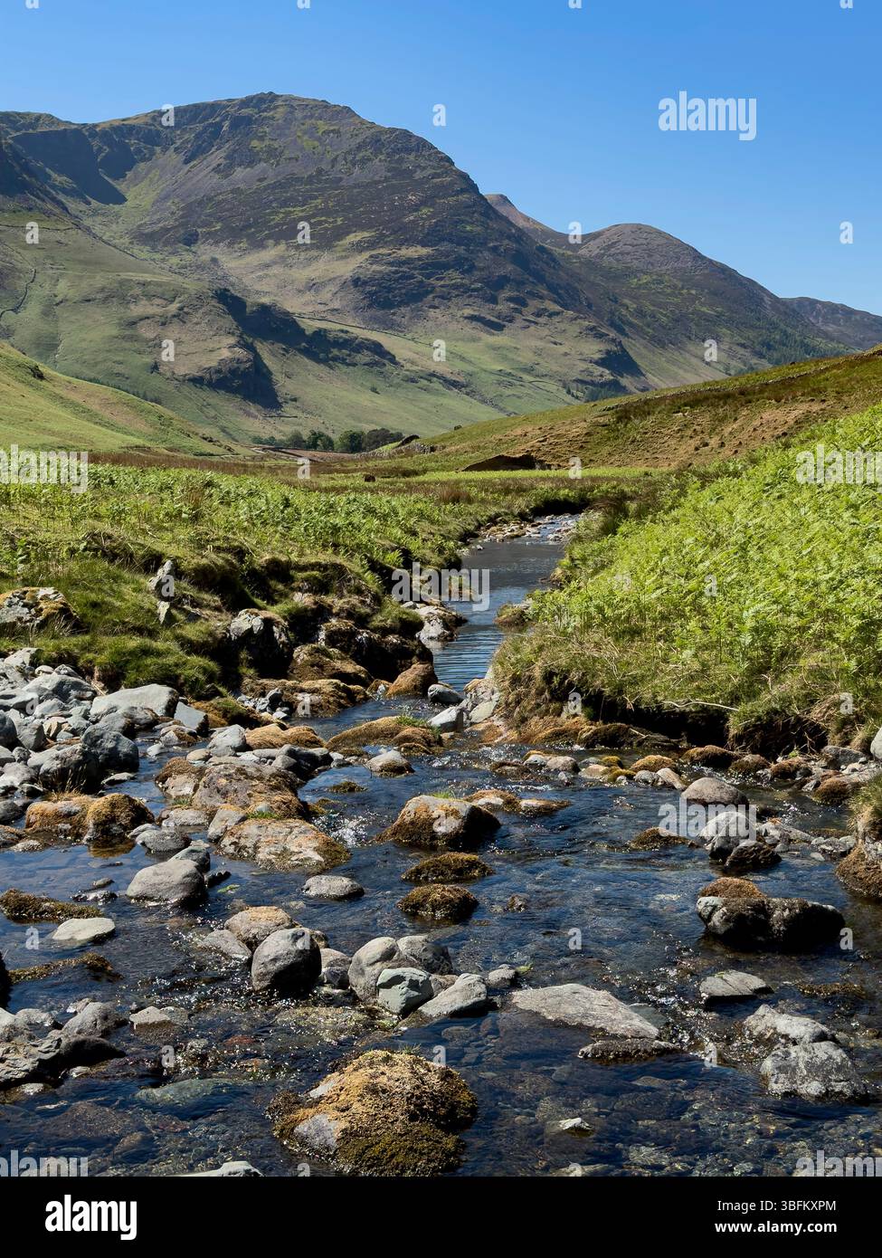 Ruisseau de montagne dans le col Honister dans le Lake District en Cumbria dans le nord-ouest de l'Angleterre. Banque D'Images