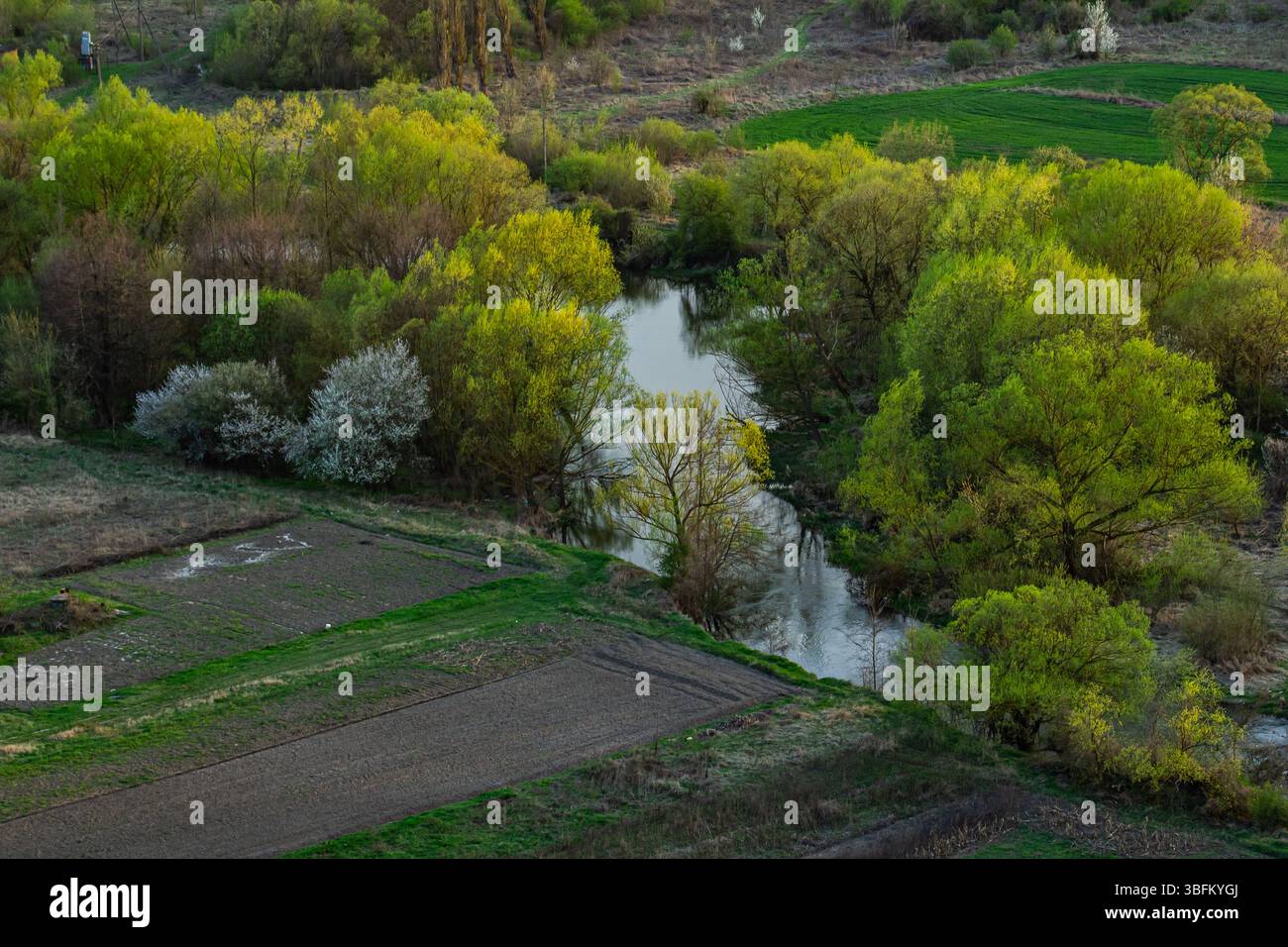 Riche feuillage vert borde une rivière calme serpentant à travers des champs luxuriants et des arbres en fleurs dans un cadre rural tranquille au début de la saison printanière. Banque D'Images