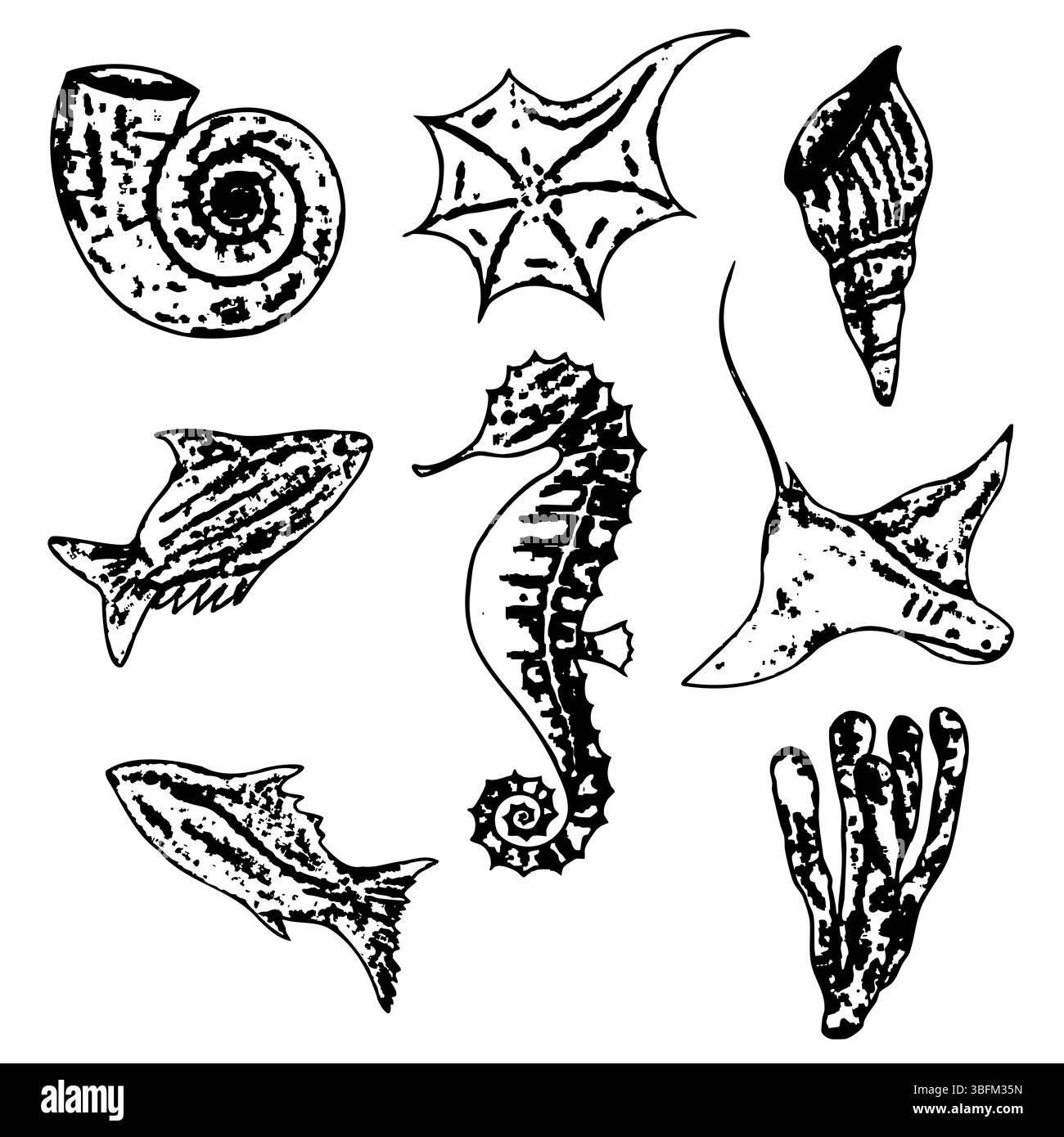 Ensemble d'illustrations Marine Life avec hippocampe, nautilus, poissons et coquillages pour des motifs sur le thème de l'océan. Vecteur sur un fond isolé. Océan Illustration de Vecteur
