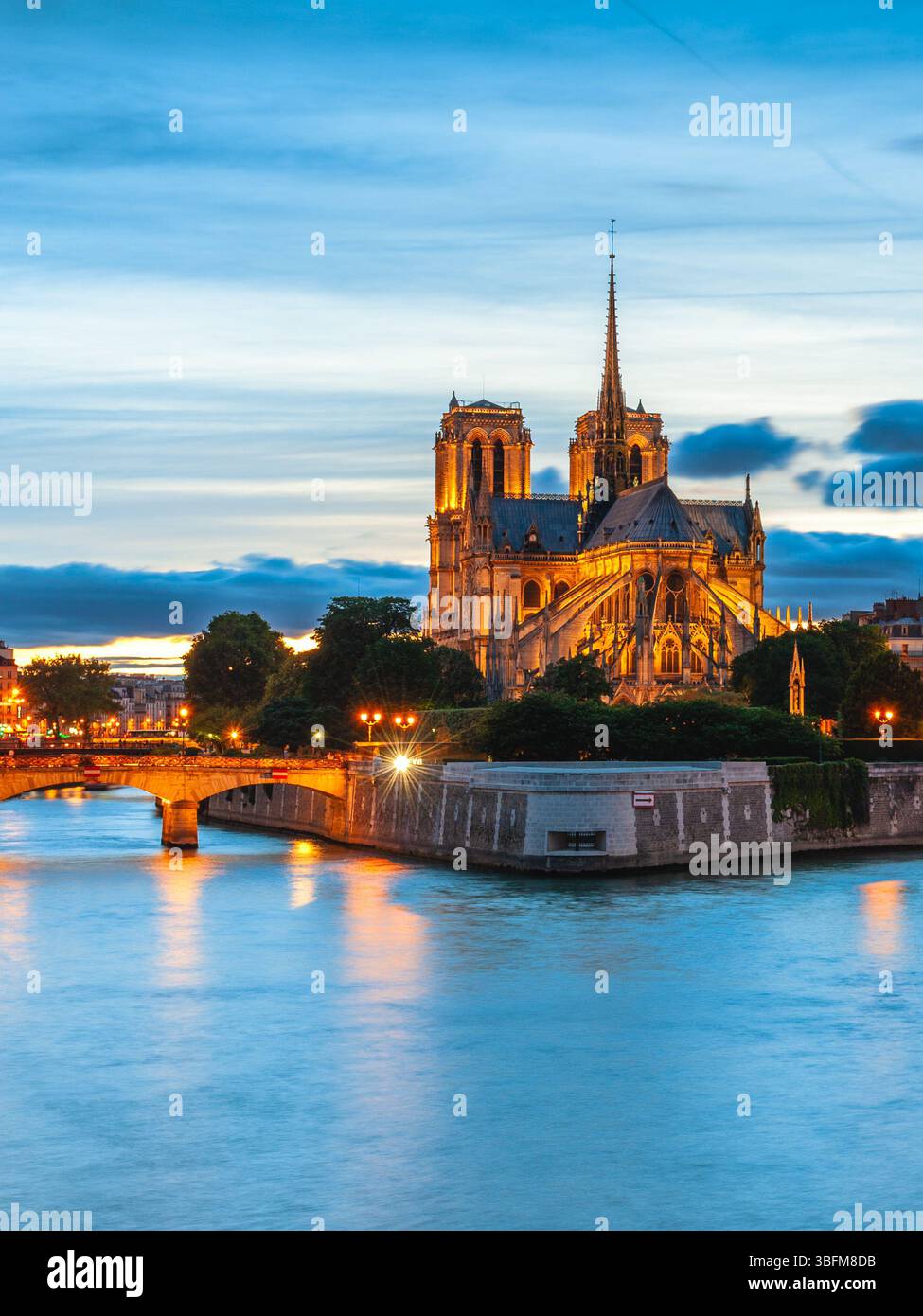 Cathédrale notre Dame de Paris et Seine à Paris, France Banque D'Images