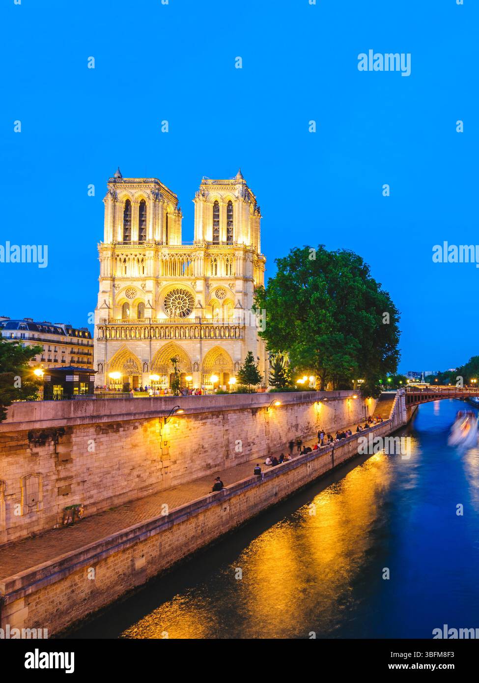 Scène nocturne de la cathédrale notre Dame de Paris à Paris, France Banque D'Images