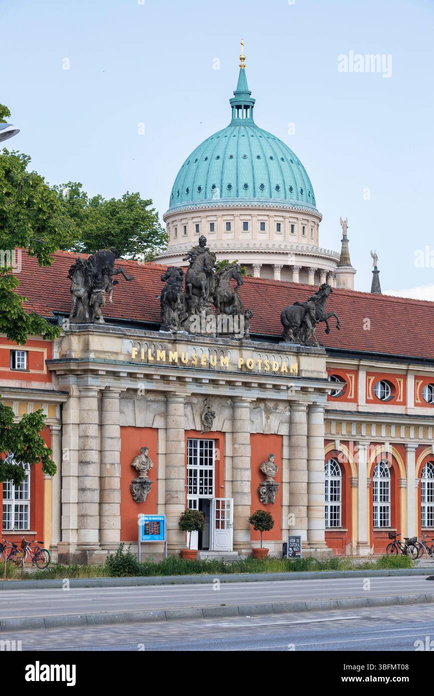 Le musée du film de Potsdam dans les écuries du palais de la ville de Potsdam, derrière le dôme de l'église Nikolai, Potsdam, Brandebourg, Allemagne. das Filmmu Banque D'Images