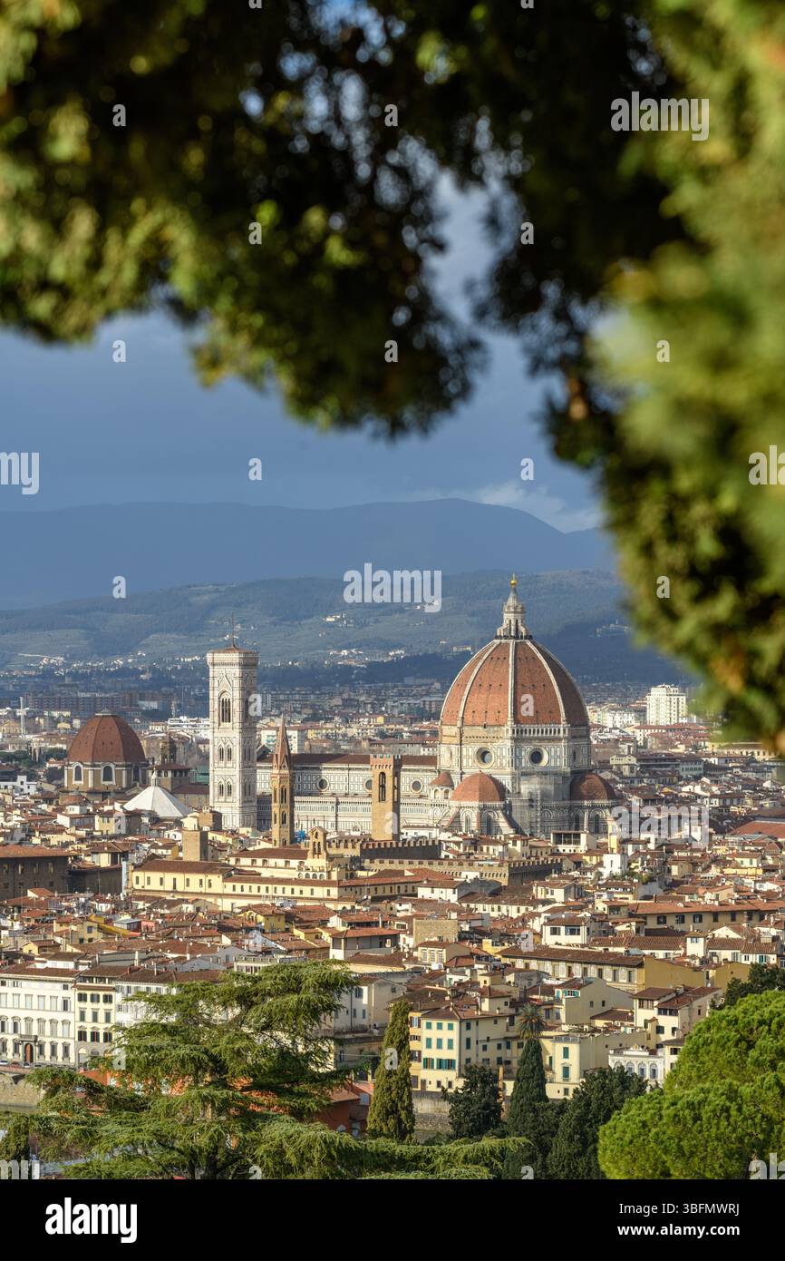 Vue imprenable sur la cathédrale de Florence (Santa Maria del Fiore), le Campanile de Giotto et le paysage urbain de Florence, en Italie, à travers les pins. Banque D'Images