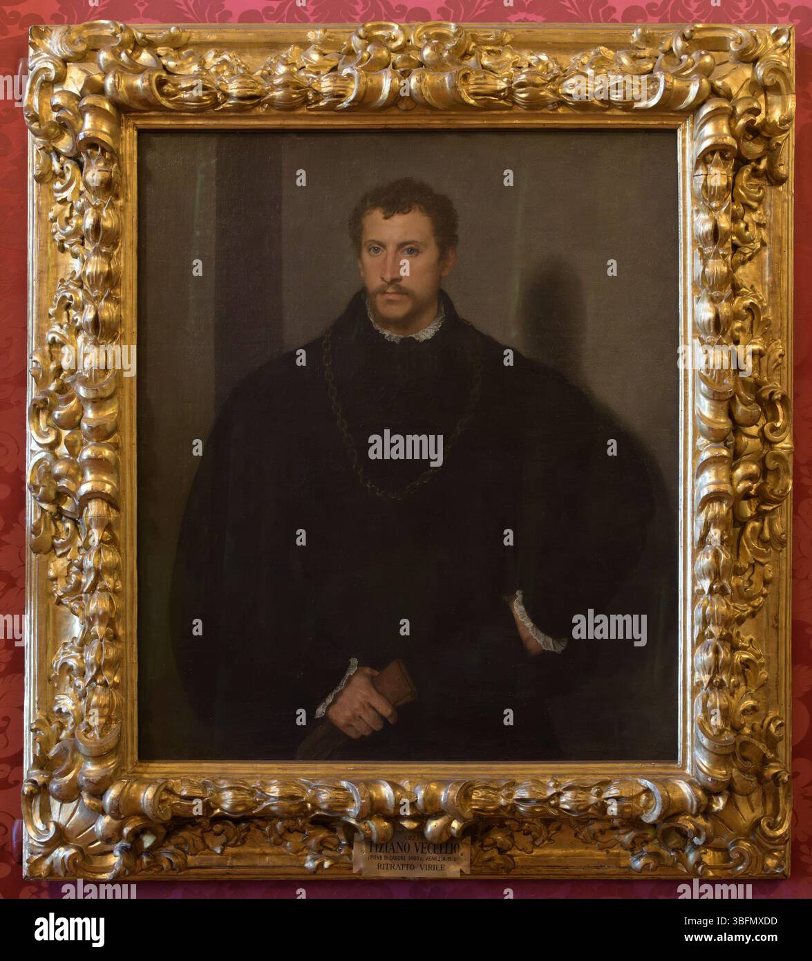 Titien, Portrait d'un homme, milieu du XVIe siècle, vue de trois quarts d'un noble élégant avec une chaîne et un livre, Palazzo Pitti, Florence, Italie. Banque D'Images