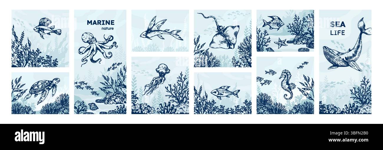 Animaux marins. Dessin de croquis de poulpe, logo de baleine, coquille vintage ou poisson gravé, hippocampe de mer. Biologie estivale, crabe sous-marin et tortue. Carte ou affiche. Illustration isolée dessinée à la main vectorielle Illustration de Vecteur