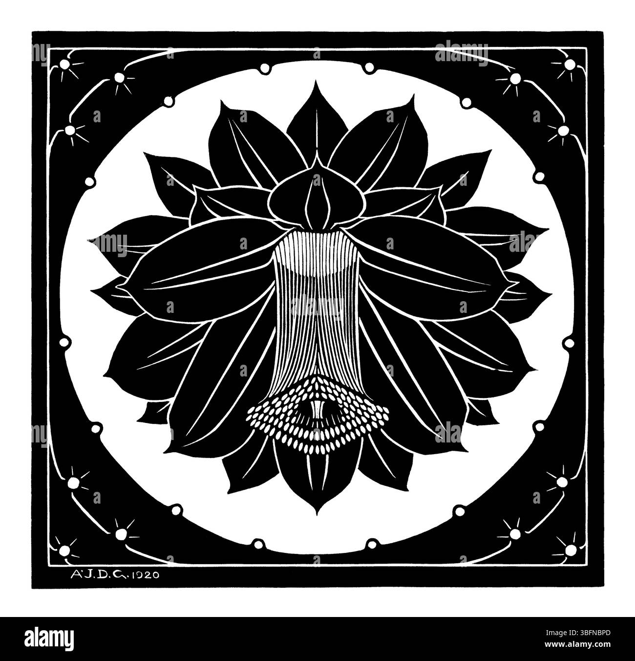 1920 gravure sur bois hollandaise 'Flower' par Julie de Graag. Imprimé botanique du domaine public. Art floral vintage, numérisation haute résolution pour décor et usage éditorial. Banque D'Images