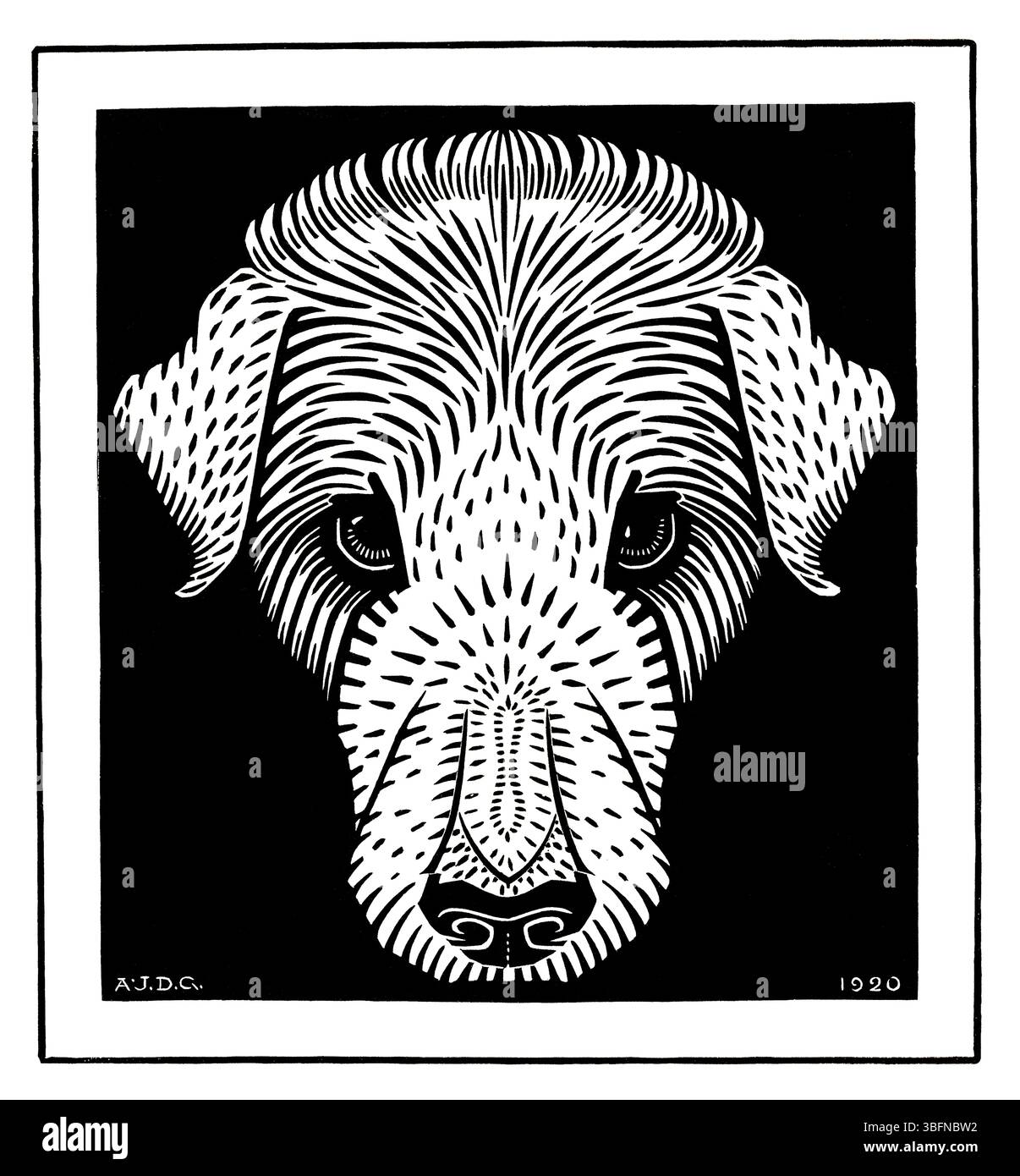 Gravure expressionniste sur bois d'une tête de chien par Julie de Graag, 1920. Animal hollandais du domaine public compris Portrait d'animaux noir et blanc haute résolution. Idéal pour la décoration Banque D'Images