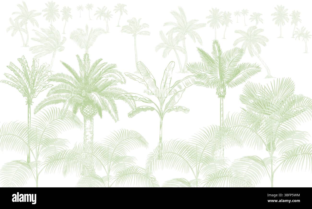 Papier peint tropical vert doux - palmier délavé et imprimé botanique pour un décor apaisant Banque D'Images