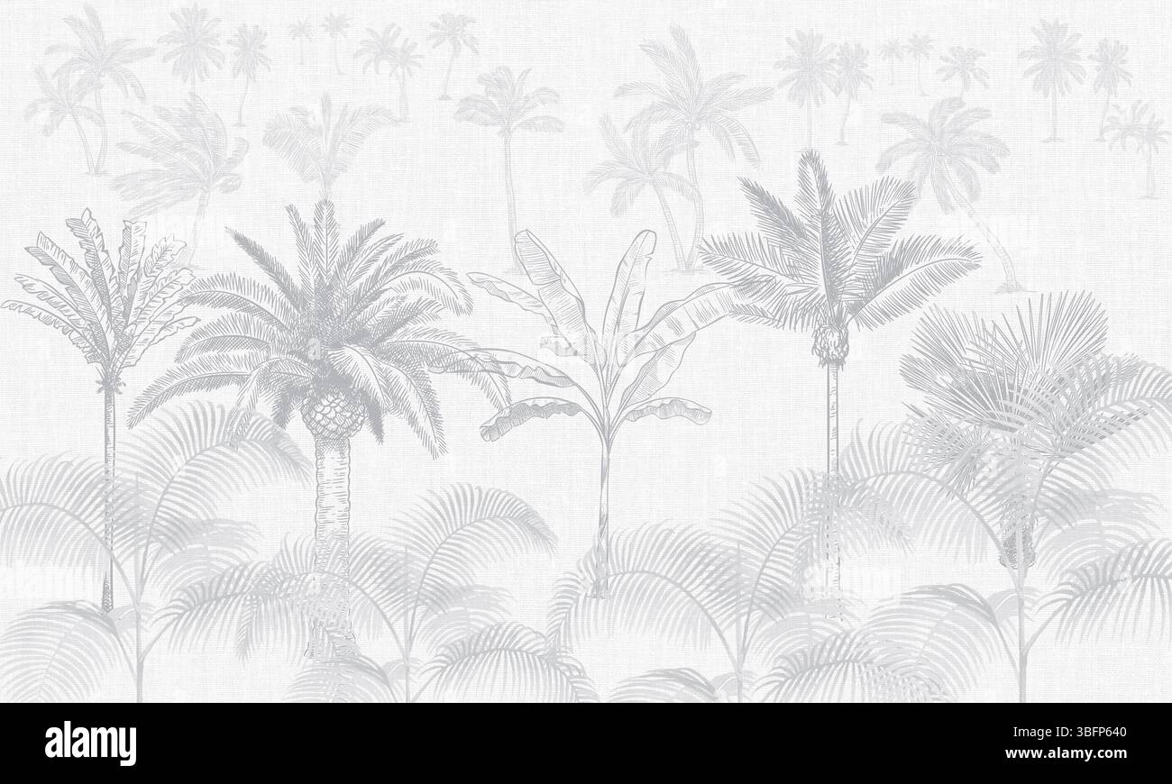 Fond d'écran tropical Modern Grayscale - Art mural Botanique et palmier monochromatique Banque D'Images