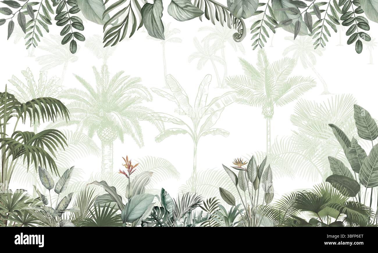 Fond d'écran vert luxuriant de la jungle tropicale : palmiers et feuilles exotiques Border Design Banque D'Images