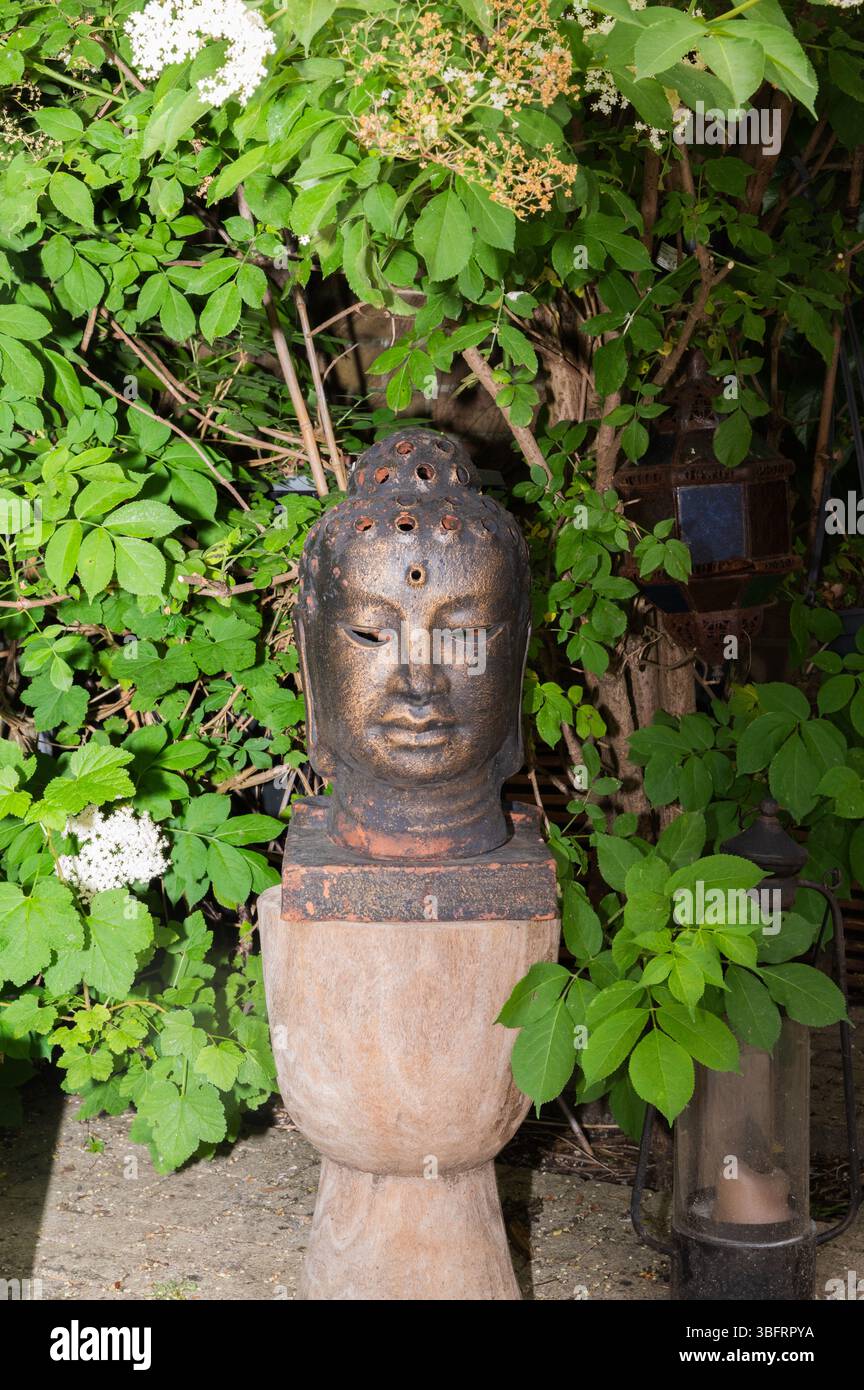 Une sculpture de tête de Bouddha magnifiquement tranquille nichée au milieu d'un feuillage vibrant crée une ambiance paisible Banque D'Images