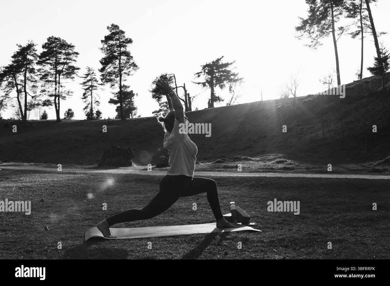 Jeune femme faisant du yoga en plein air, méditant dans la nature. Mode de vie sain, force, calme, pleine conscience. Photo de haute qualité Banque D'Images