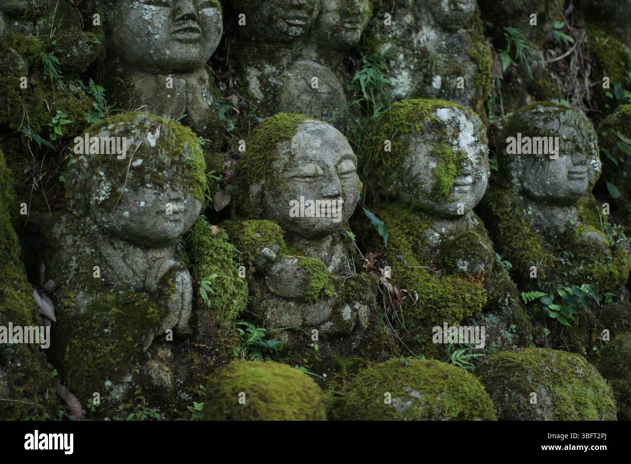 Beaucoup de statues de pierre dans le temple Otagi Nenbutsu-ji à Kyoto, Japon Banque D'Images Beaucoup de statues de pierre dans le temple Otagi Nenbutsu-ji à Kyoto, Japon Banque D'Images