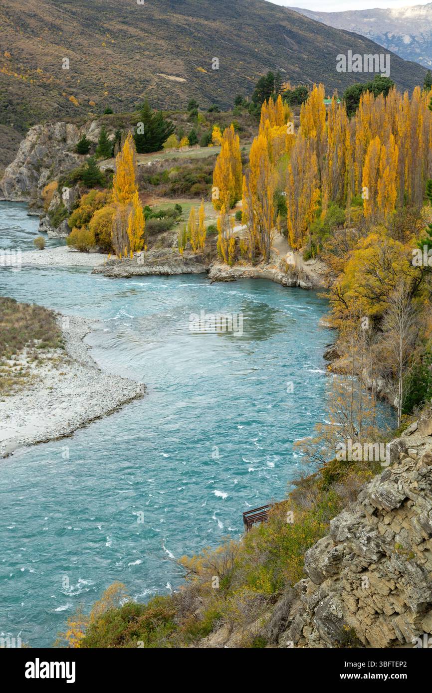 Marcher sur la piste Peregrine Loop Track un jour d'automne, Gibbston Valley, Queenstown, Nouvelle-Zélande Banque D'Images