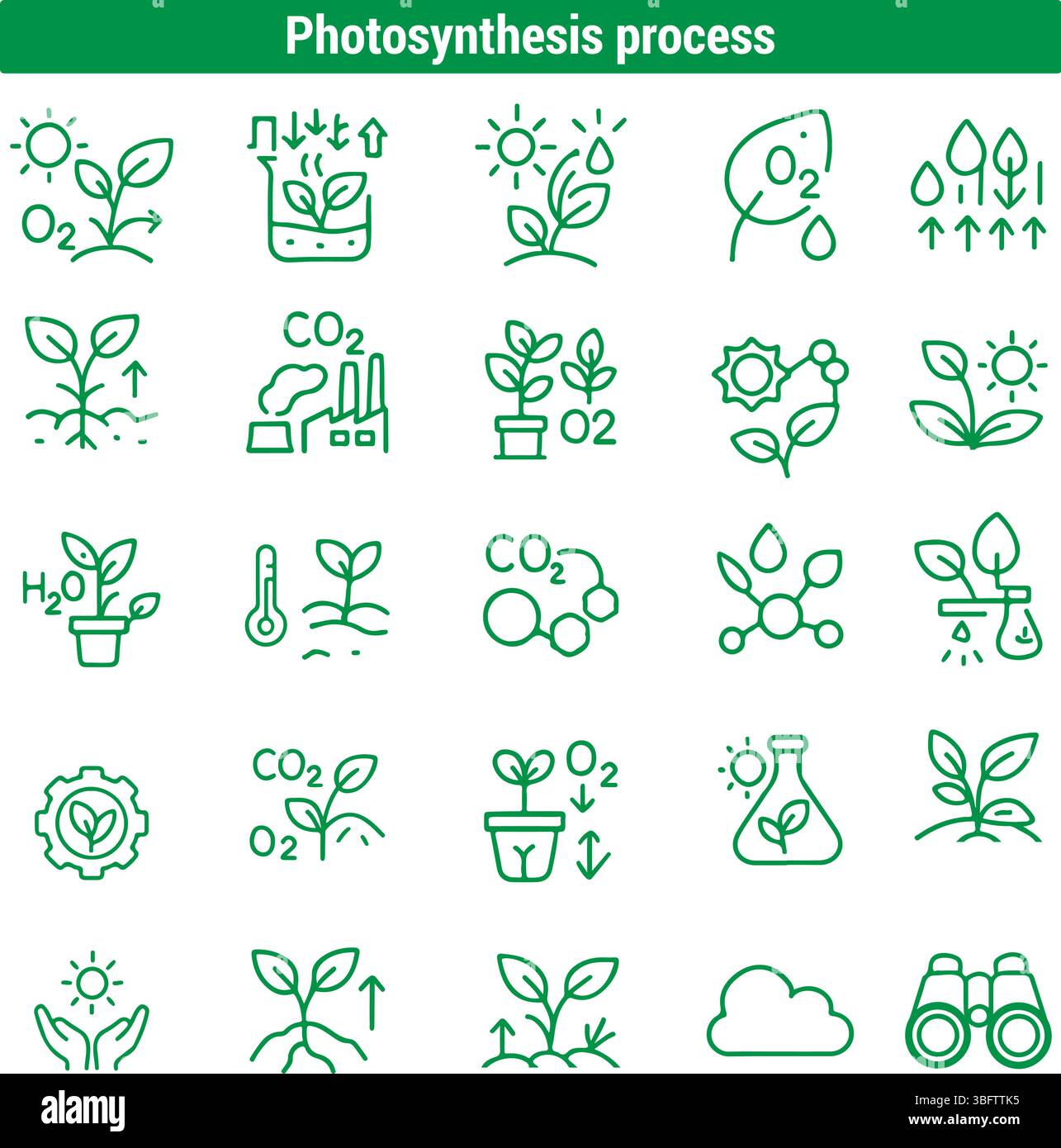 Ensemble d'icônes de processus de photosynthèse – symboles de croissance végétale et d'éco-biologie Illustration de Vecteur