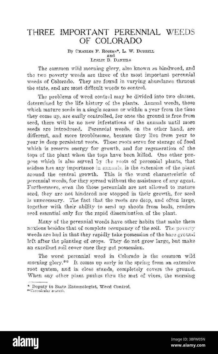 Ce document d'août 1926 met en évidence trois mauvaises herbes vivaces importantes au Colorado. L’étude fournit des informations sur leur impact sur les écosystèmes locaux, les champs agricoles et les habitats naturels. Ces mauvaises herbes sont persistantes et difficiles à contrôler, affectant à la fois la qualité du sol et la production agricole dans la région. Banque D'Images