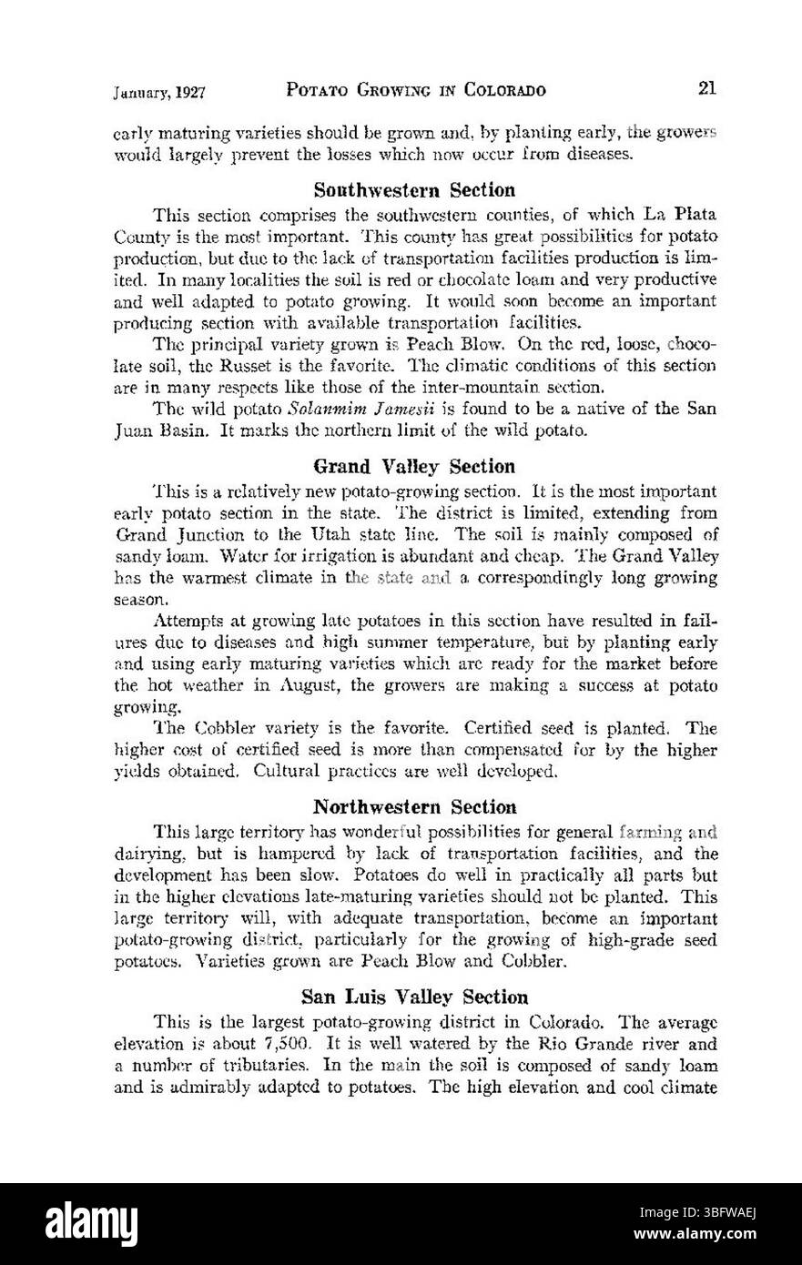 Cette photographie de janvier 1927 donne un aperçu du processus de culture de la pomme de terre au Colorado, en mettant l'accent sur l'utilisation d'outils agricoles et de techniques agricoles. Banque D'Images