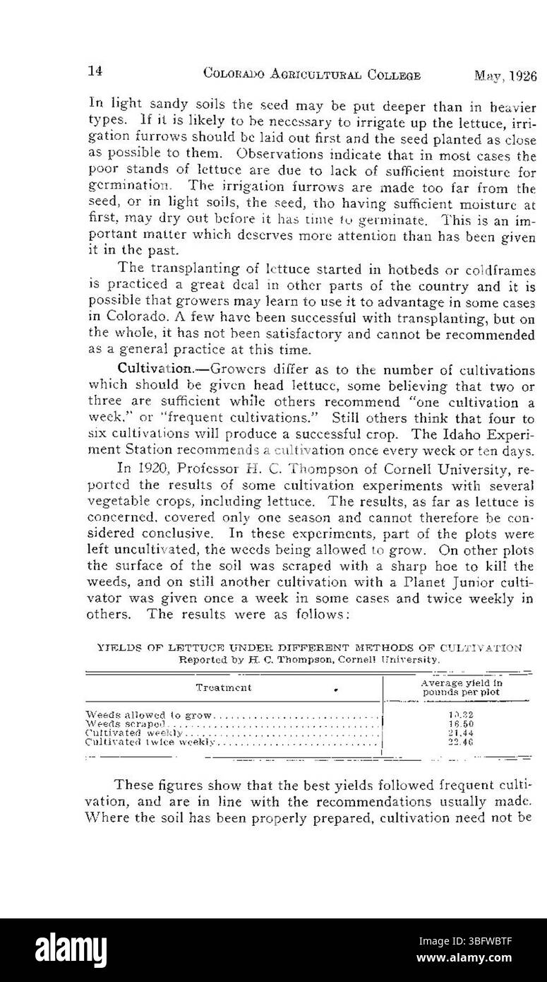 Cette page décrit les pratiques culturales pour la laitue, le chou-fleur et les pois dans les zones de haute altitude, fournissant des exemples pratiques de 1926 sur la façon de surmonter les difficultés associées à l'agriculture des hautes terres. Banque D'Images