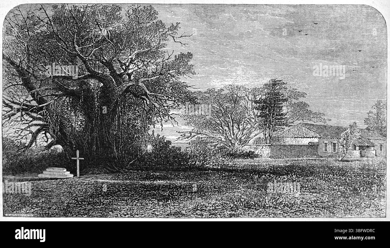 Tombeau, tombe et pierre tombale de Mary Moffat Livingstone 1821-1862), épouse de l'explorateur David Livingstone, Chupanga, anciennement Shupanga aka Lacerdonia, Mozambique Afrique. Gravure vintage ou historique ou illustration 1866 Banque D'Images