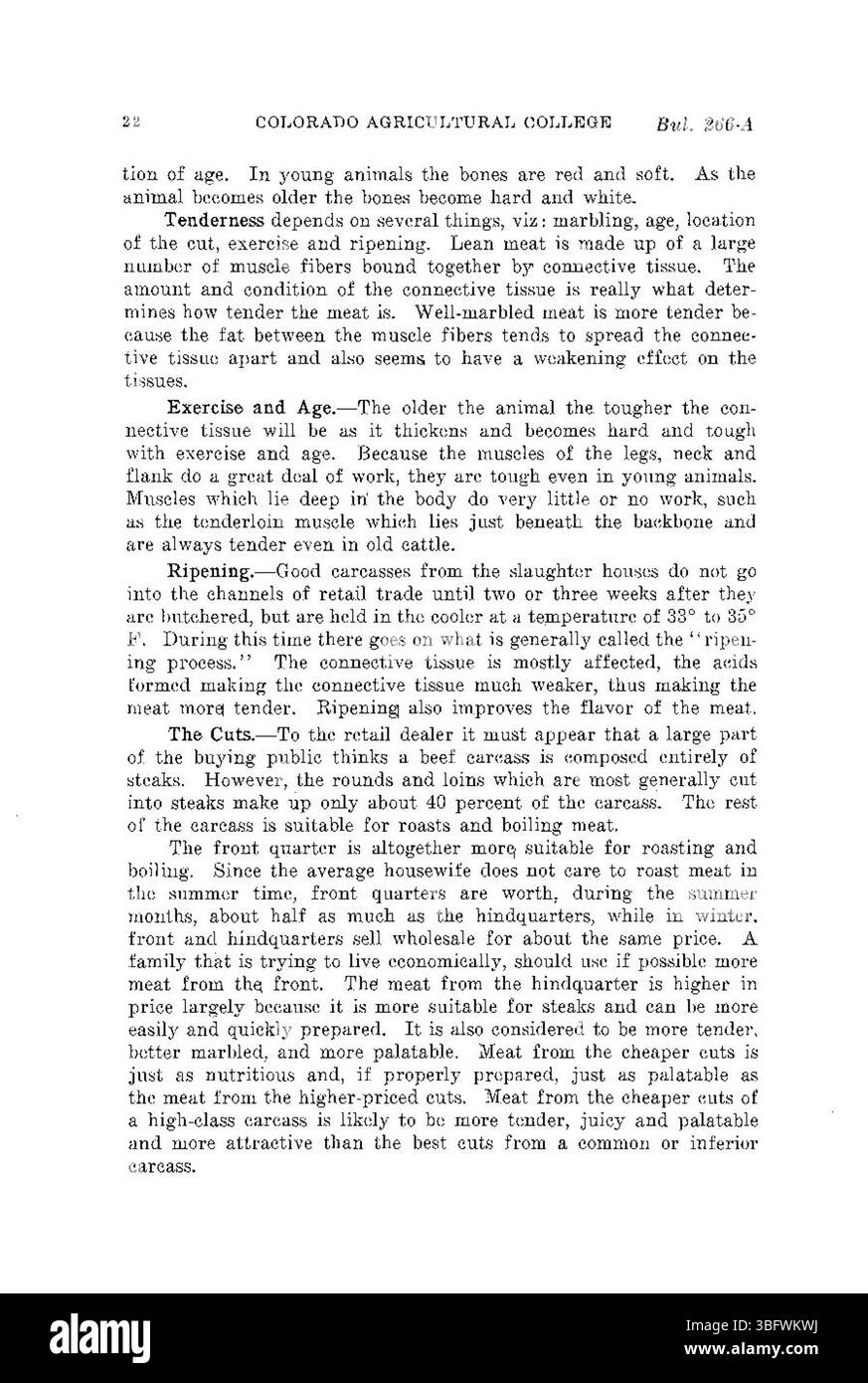 La page 22 de « Butchering Beef on the Farm » (juillet 1927) décrit les outils et l'équipement utilisés dans le processus de boucherie, comme les couteaux, les coupeurs et les autres instruments de coupe essentiels pour le travail. Banque D'Images